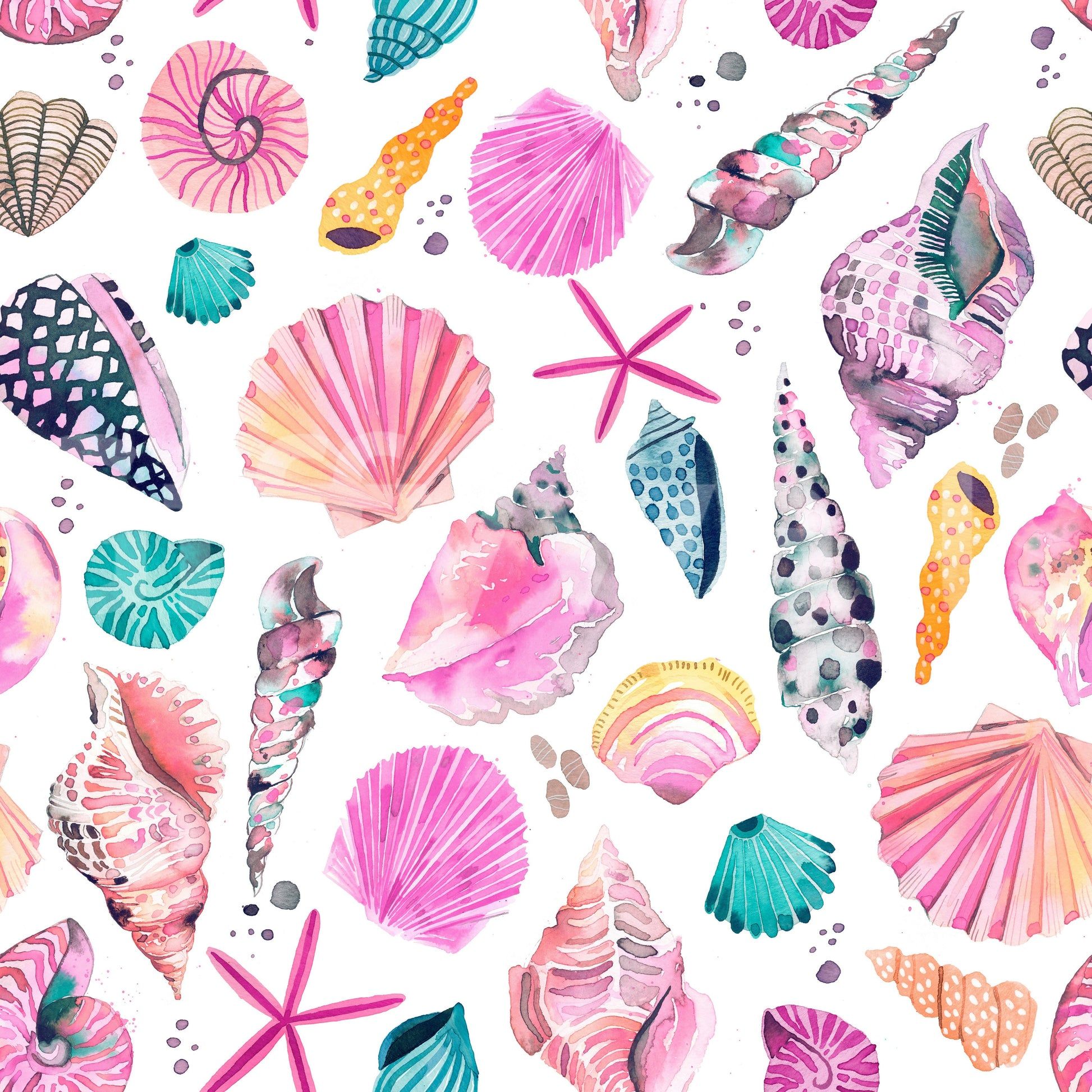1946x1946 Sea Shells Coastal Summer Pink Wallpaper