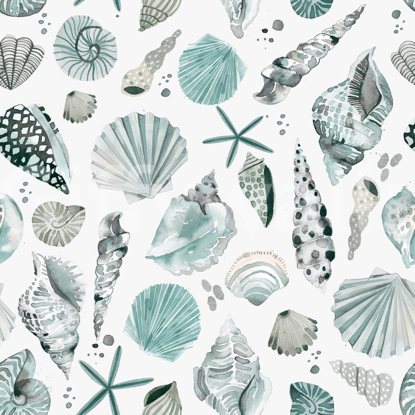 1445x1445 Sea Shells Coastal Summer Blue Wallpaper