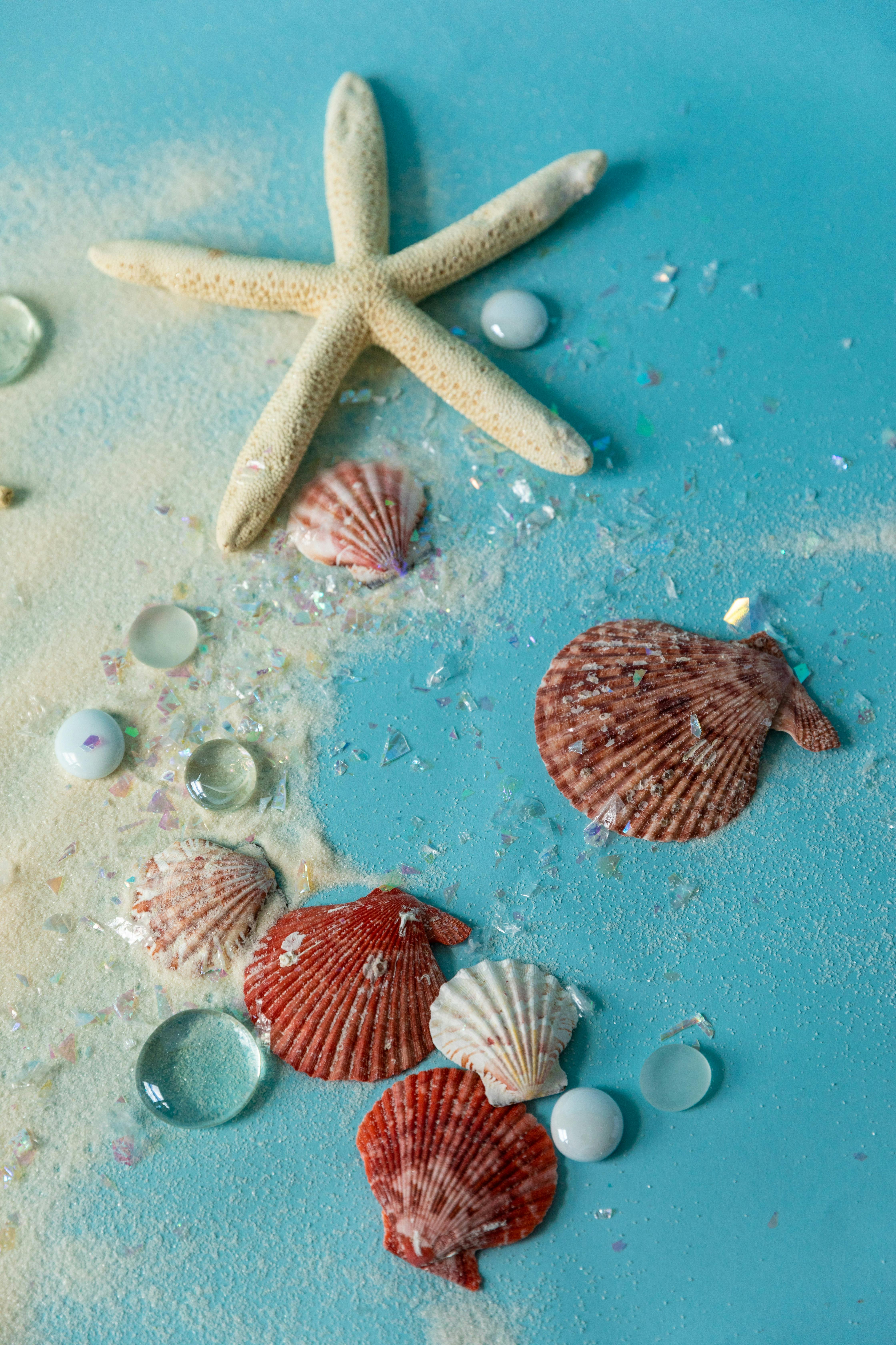 4480x6720 Starfish and Pearls · Free