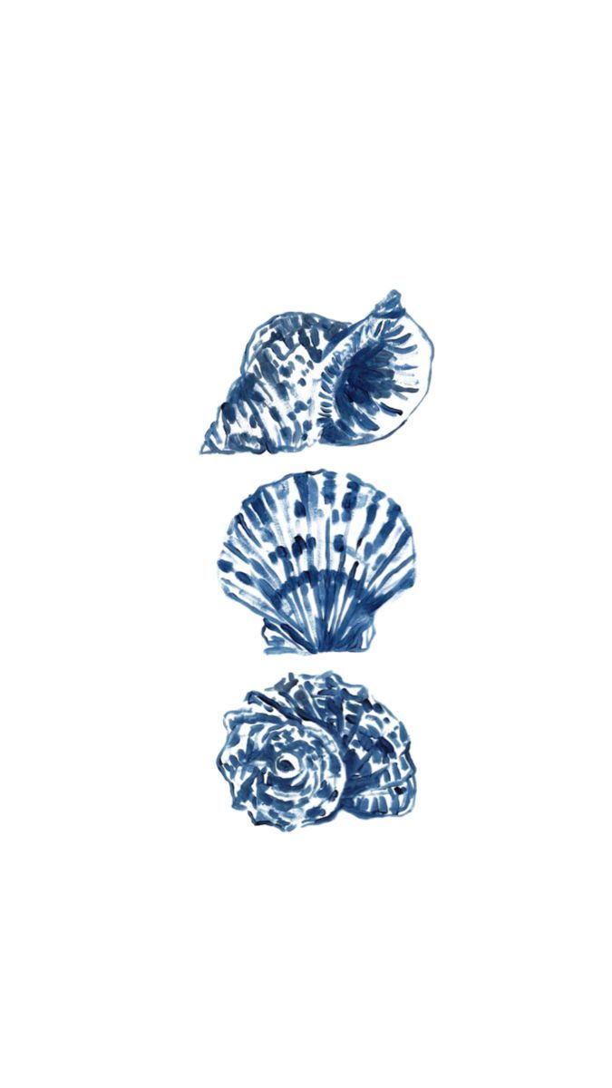 675x1200 shells, ocean, blue, wallpaper, background