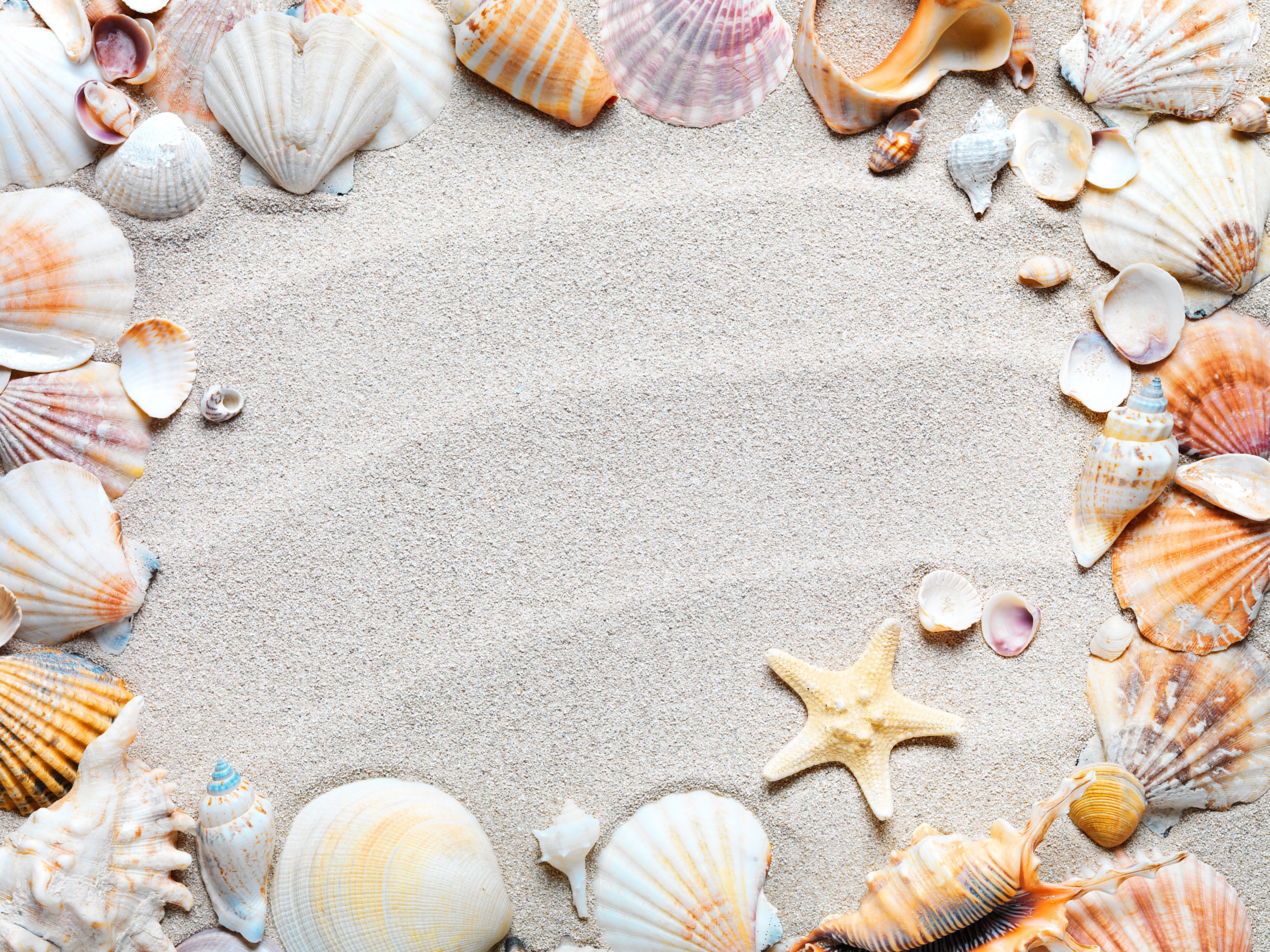 6134x4600 Wallpaper sand, beach, frame, shell, sand, starfish, seashells for mobile and desktop, section природа, resolution 6134x4600