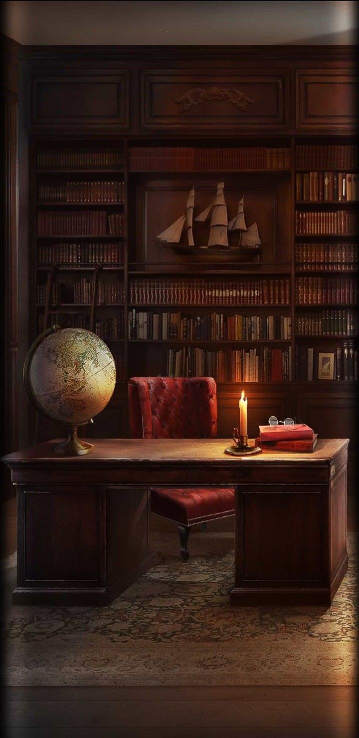 720x1479 Cozy Library Wallpaper