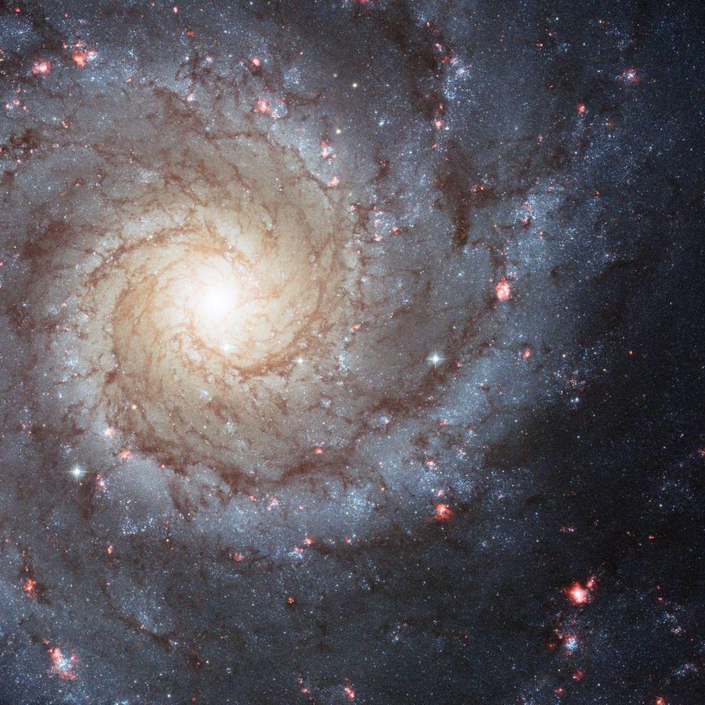 1400x1400 AI could be the perfect tool for exploring the Universe