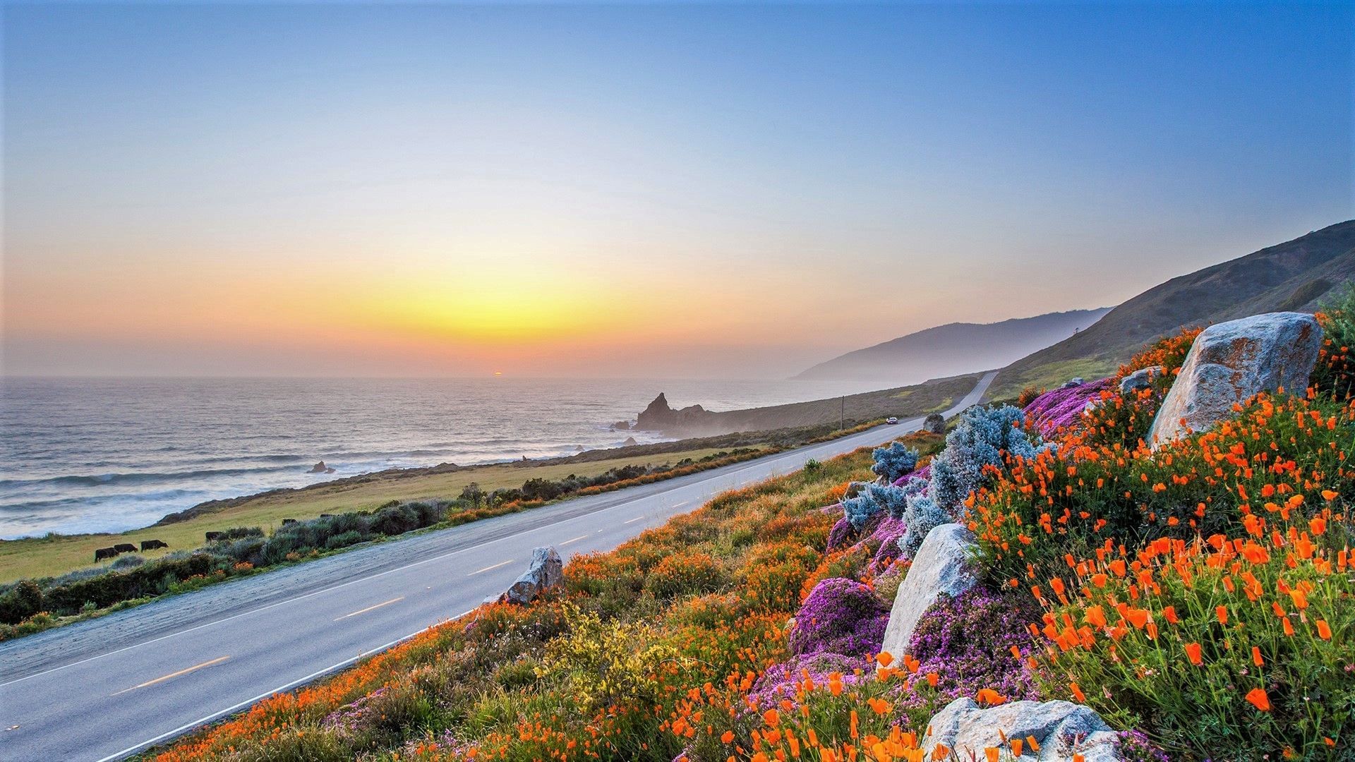 1920x1080 Spring California Wallpaper
