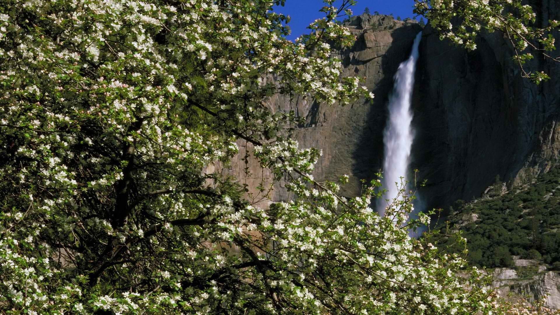 1920x1080 spring, season, Falls, California, Yosemite, National, Park Wallpaper HD / Desktop and Mobile Background