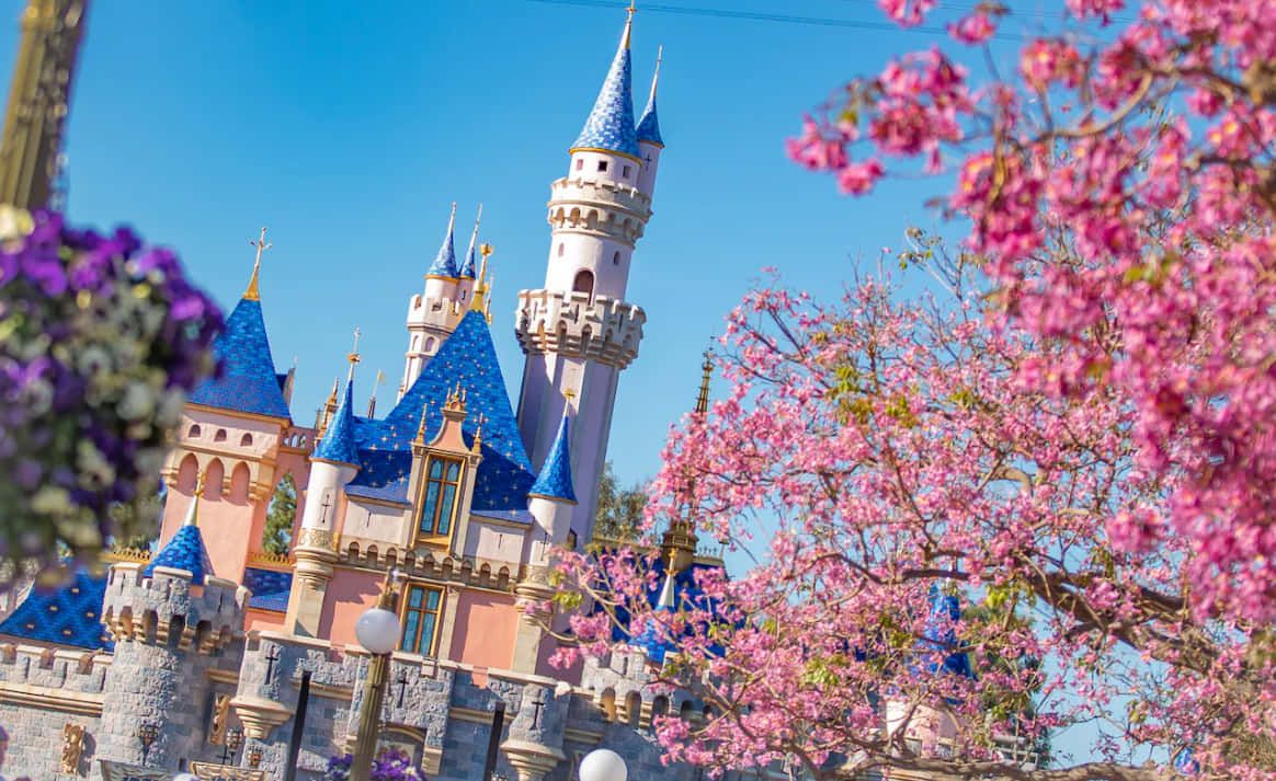 1164x713 Download Disneyland Springtime In California Wallpaper