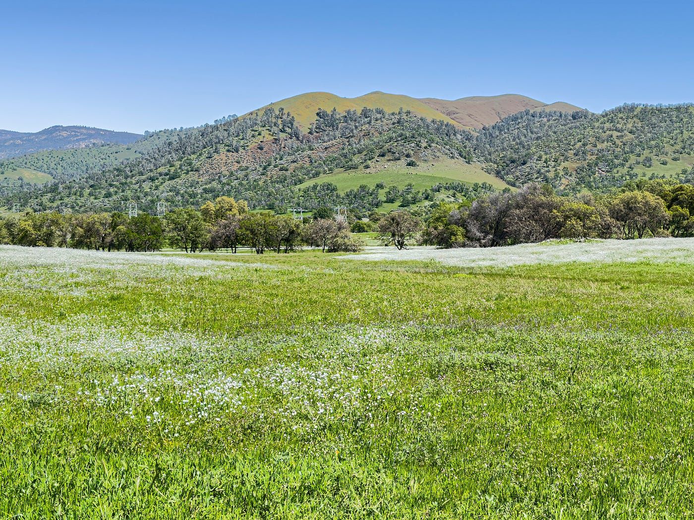 1400x1050 Searching in Central California for Sensational Spring Superblooms.