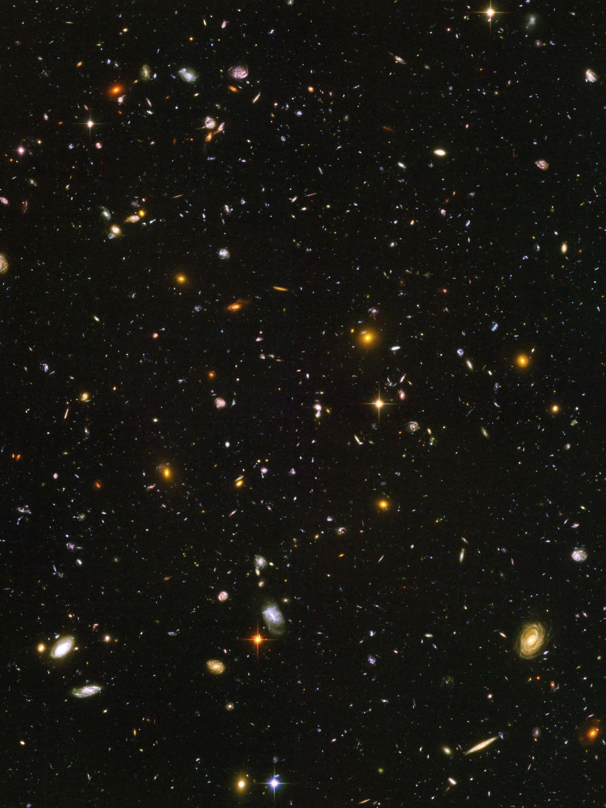 2048x2732 Free download Brief Expert Astronomer Explanation [3100x3100]