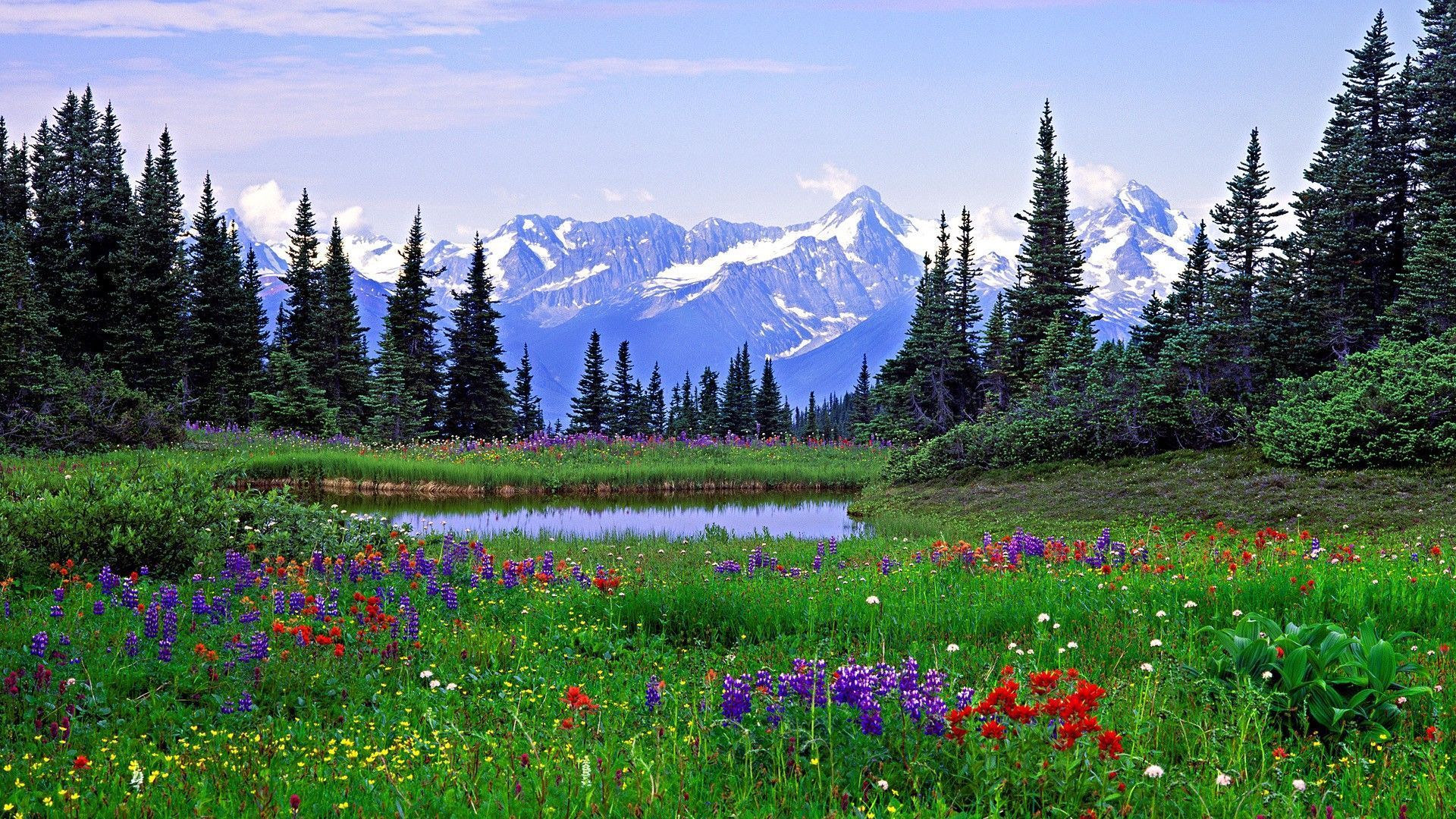 1920x1080 Colorado Mountains Summer Wallpaper