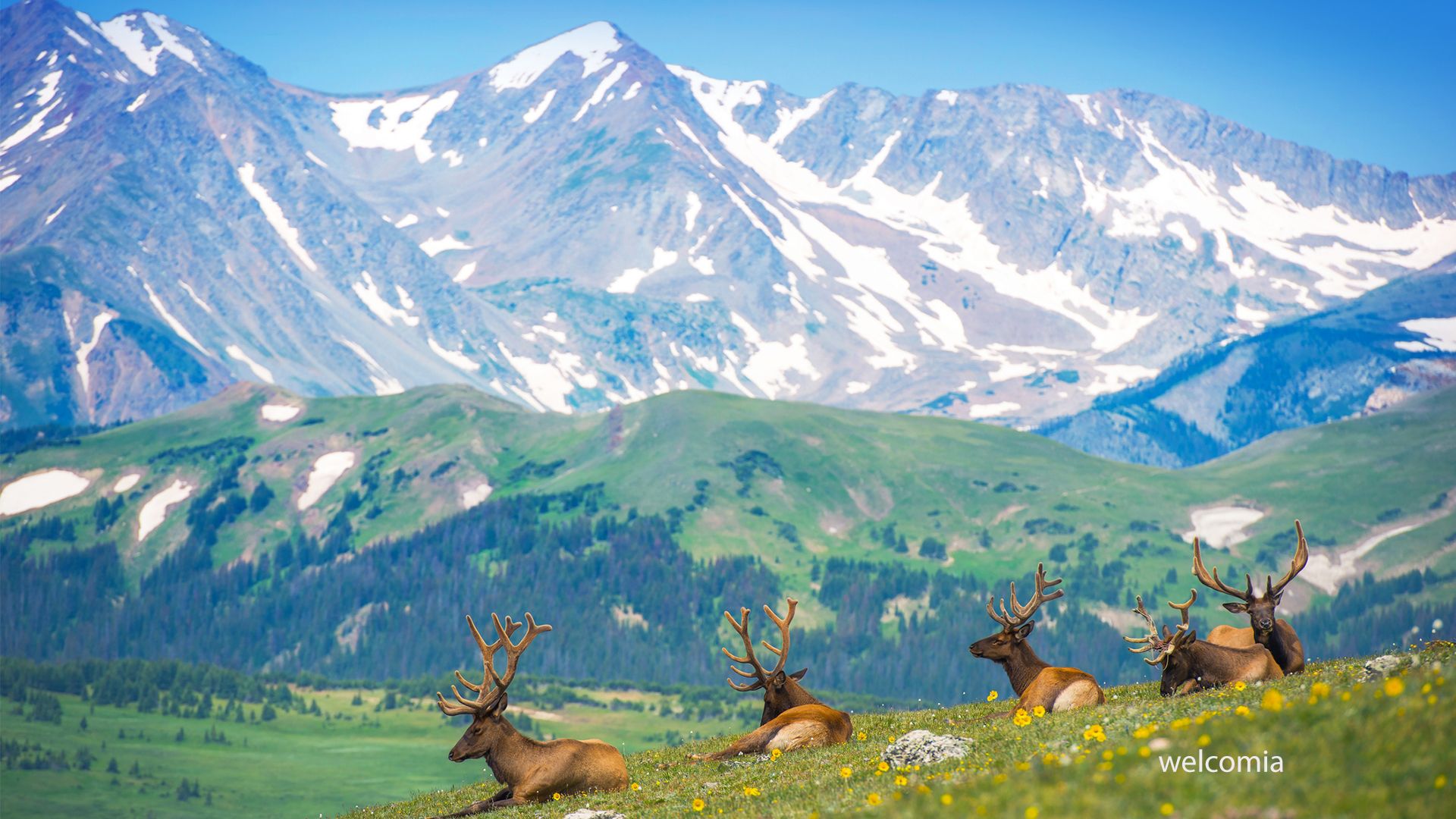 1920x1080 Colorado Summer Vacation Plan