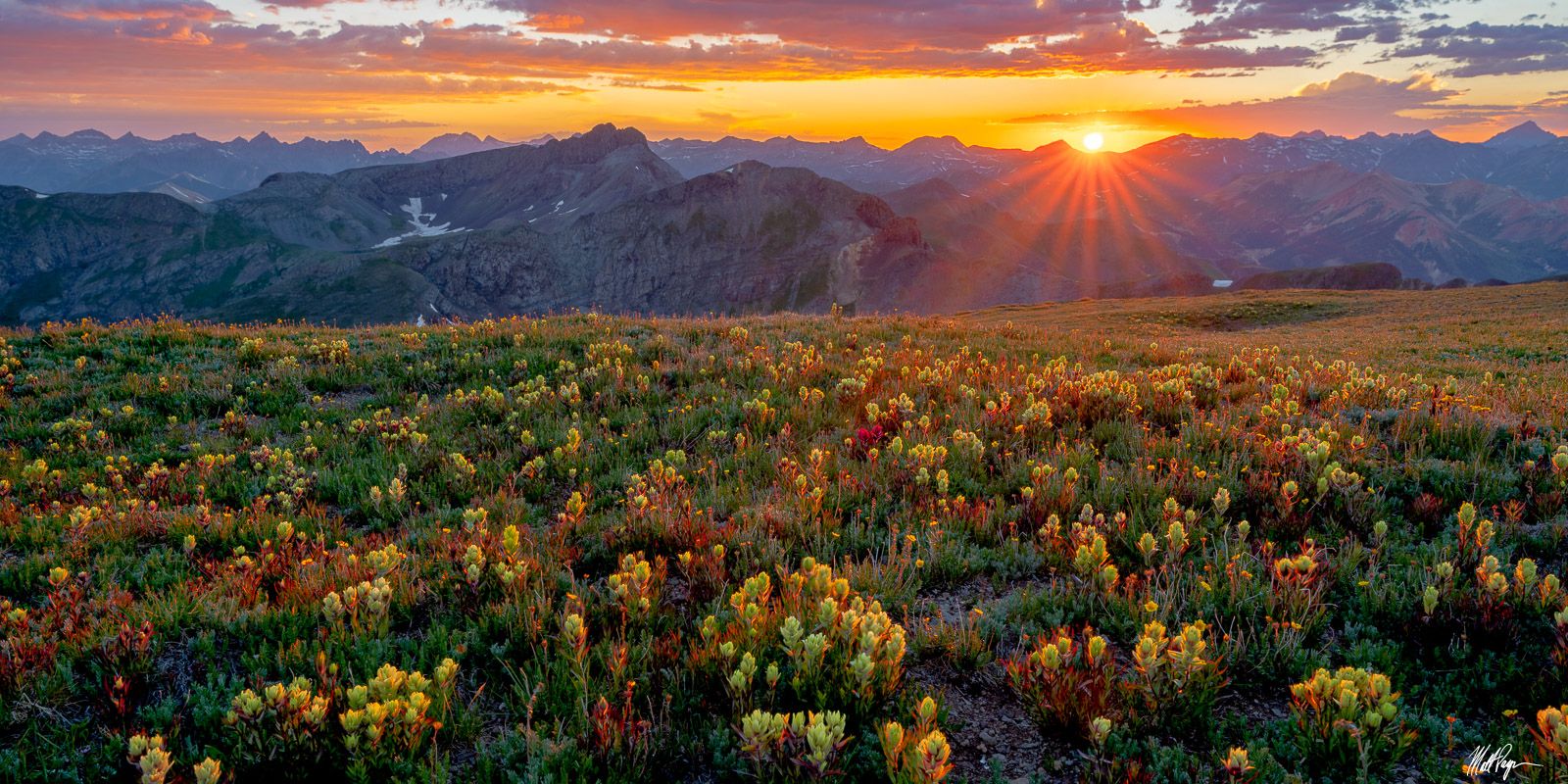 1600x800 Yellow Paintbrush at Sunset Panoramic (2020). Silverton, Colorado