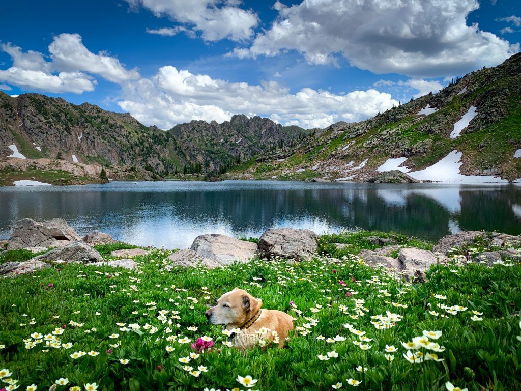 1024x768 Visiting Colorado Like a Local: Travel Tips to Know Before You Go