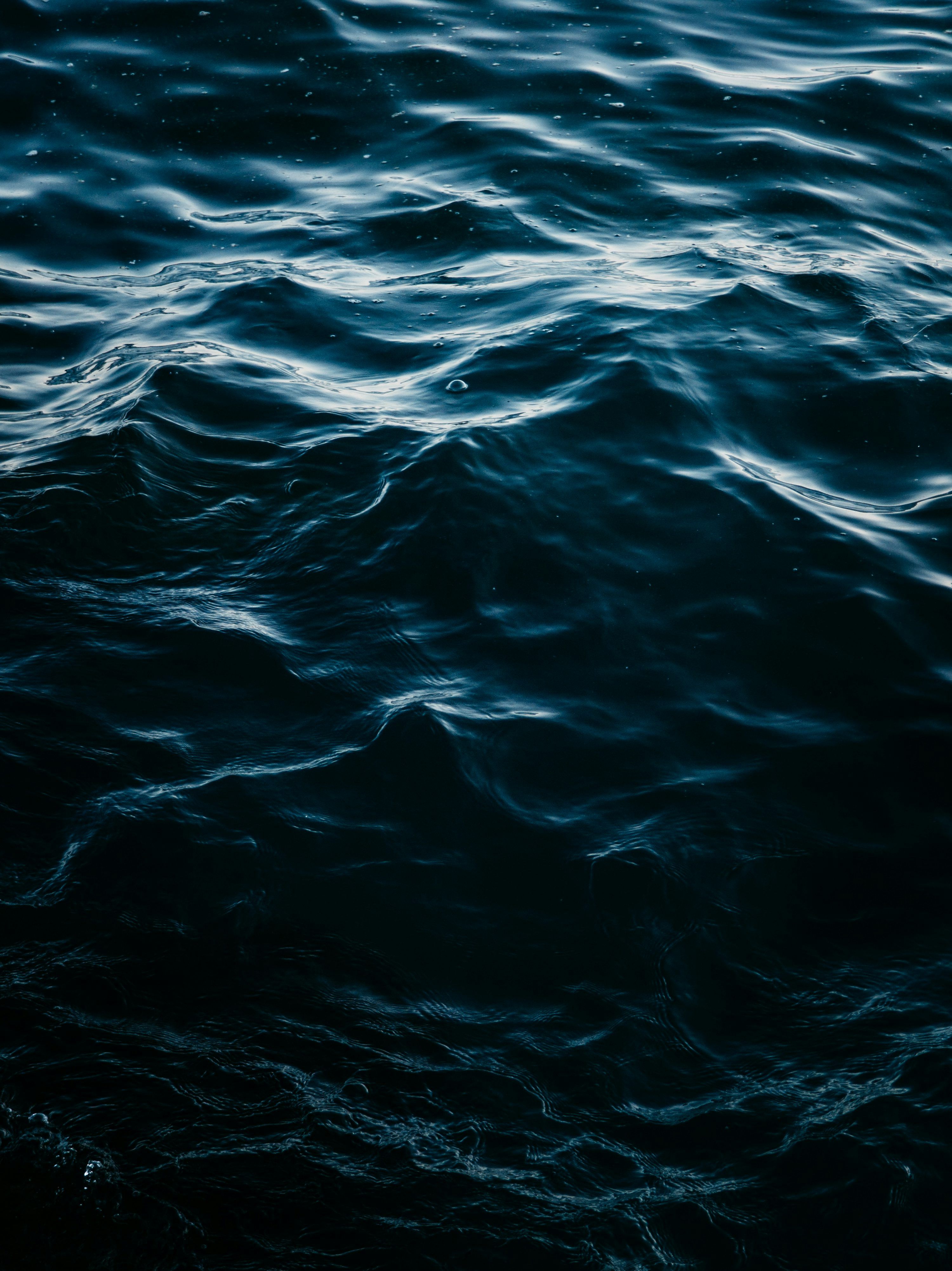 3000x4005 Dark blue water with gentle waves. photo