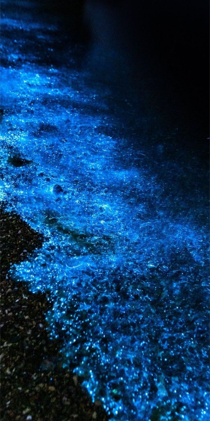 736x1472 Navy blue ocean wallpaper for iPhone