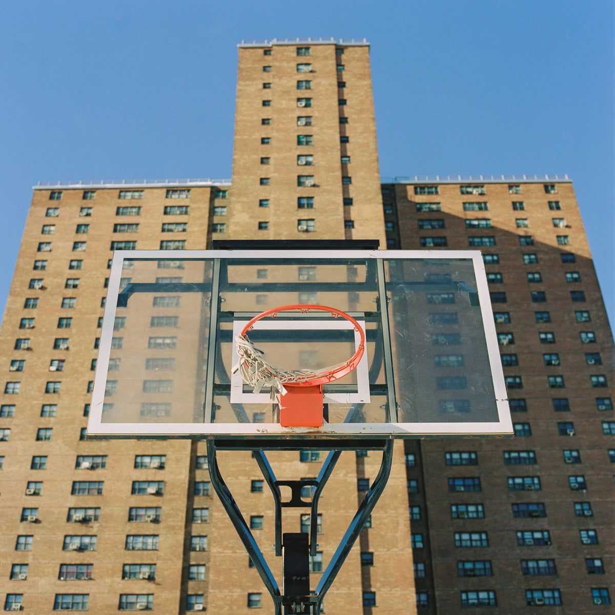1200x1200 Holy Rucker