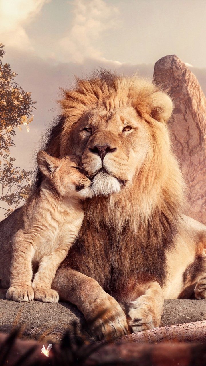 720x1280 Download Simba Mufasa (The Lion King) Lion Movie The Lion King (2019) Phone Wallpaper