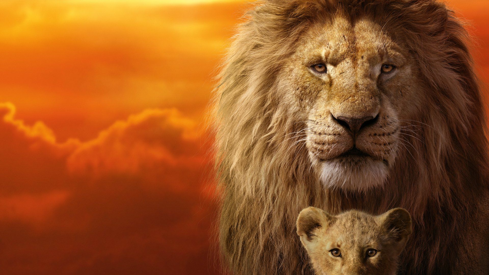 1920x1080 The Lion King 2019: Mufasa & Simba 4K Ultra HD Wallpaperx4201