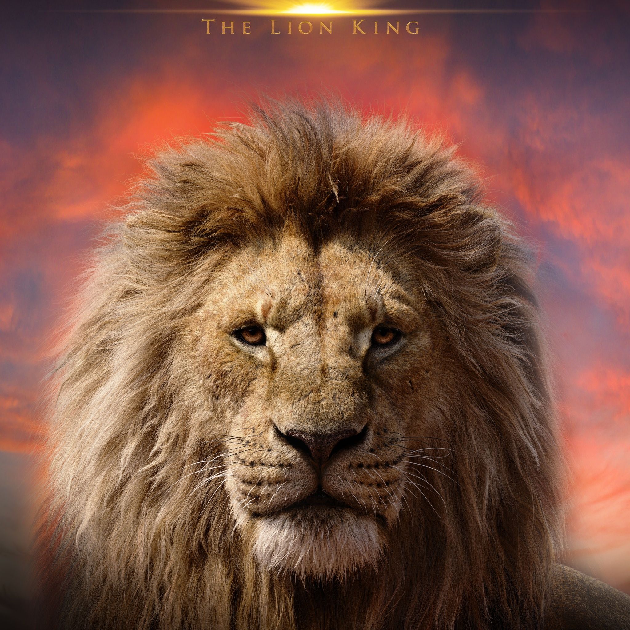 2048x2048 Mufasa: The Lion King Wallpaper