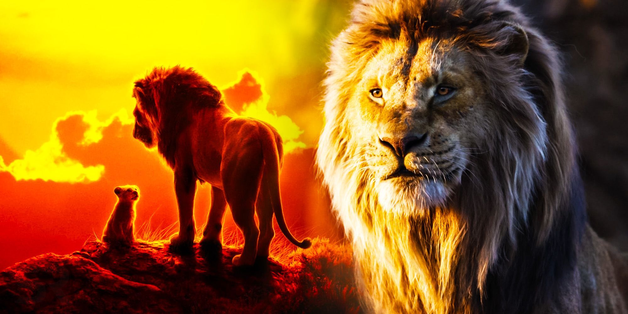 2000x1000 Mufasa The Lion King Best Wallpaper