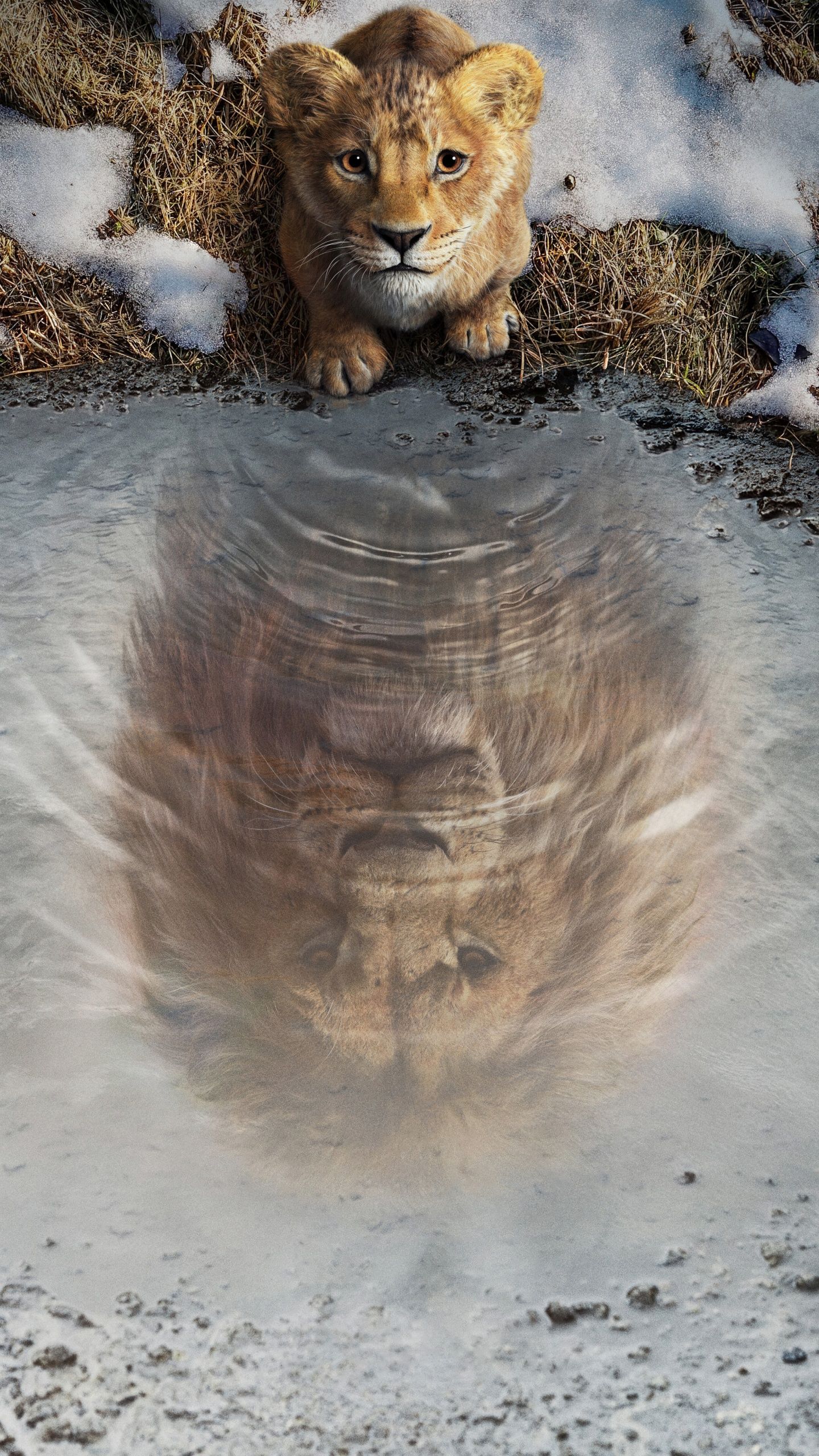 1440x2560 Mufasa The Lion King 2024 Movie 4K UHD Wallpaper for UltraHD Desktop and TV : Widescreen and UltraWide Display : Smartphone and Tablet Devices