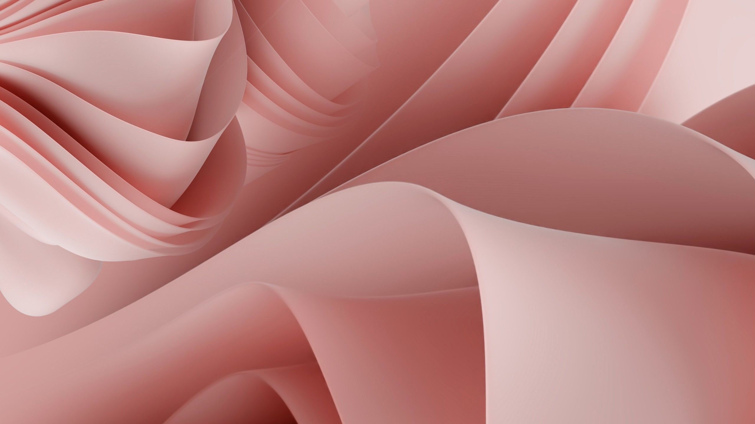 2560x1440 Light Peach Windows 11 Logo Microsoft Minimalist Operating System 4K HD Windows 11 Wallpaper
