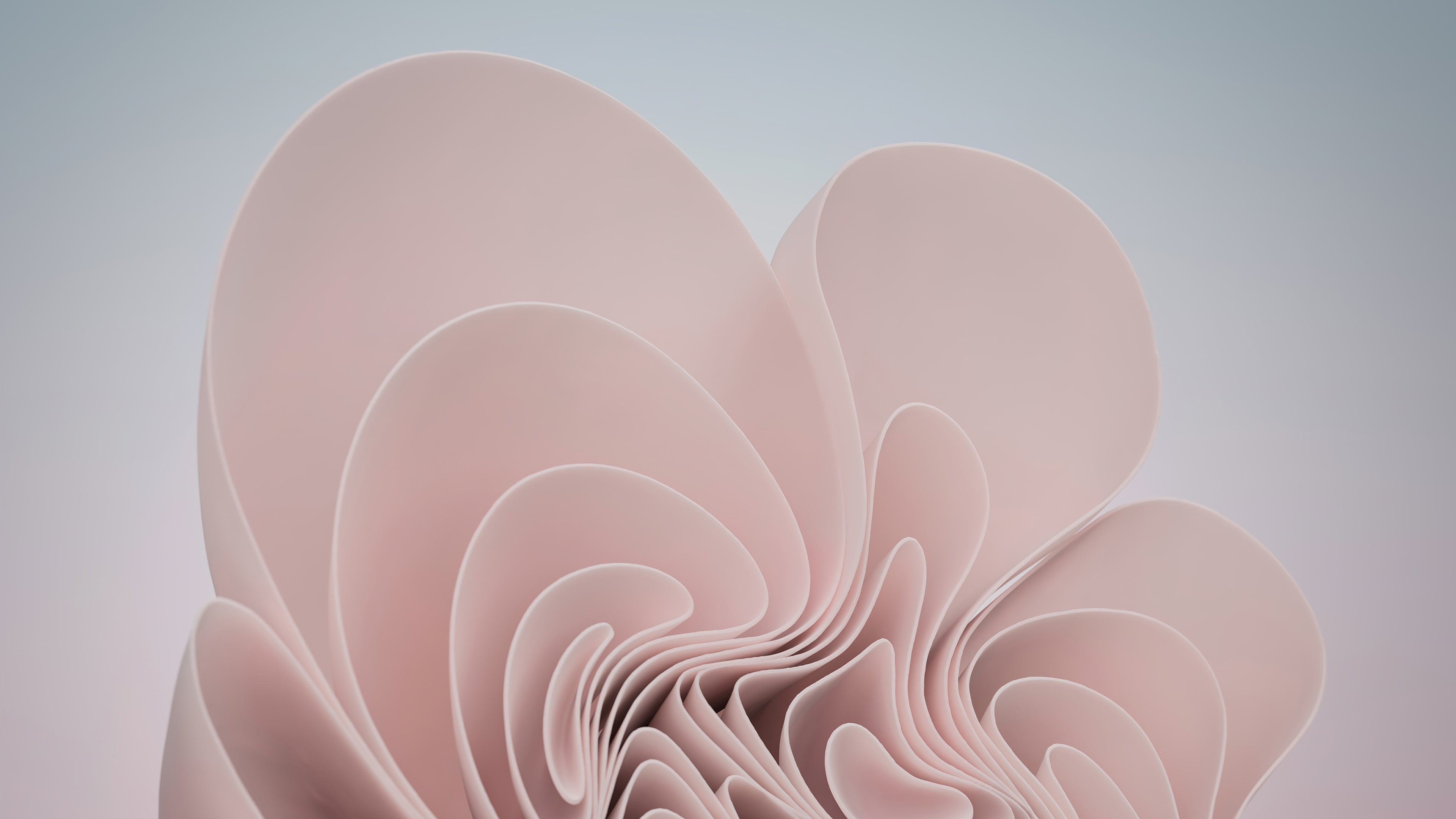 3840x2160 Windows 11 pink Abstract Aesthetic Wallpaper 4K for Desktop