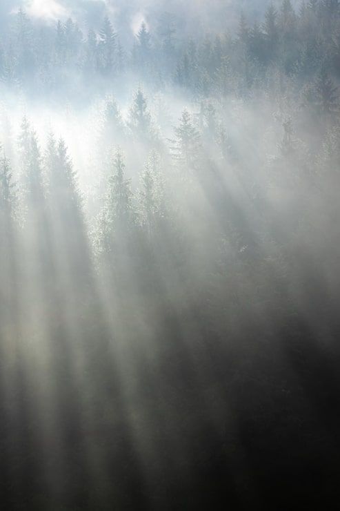 493x740 Fog overlay Image