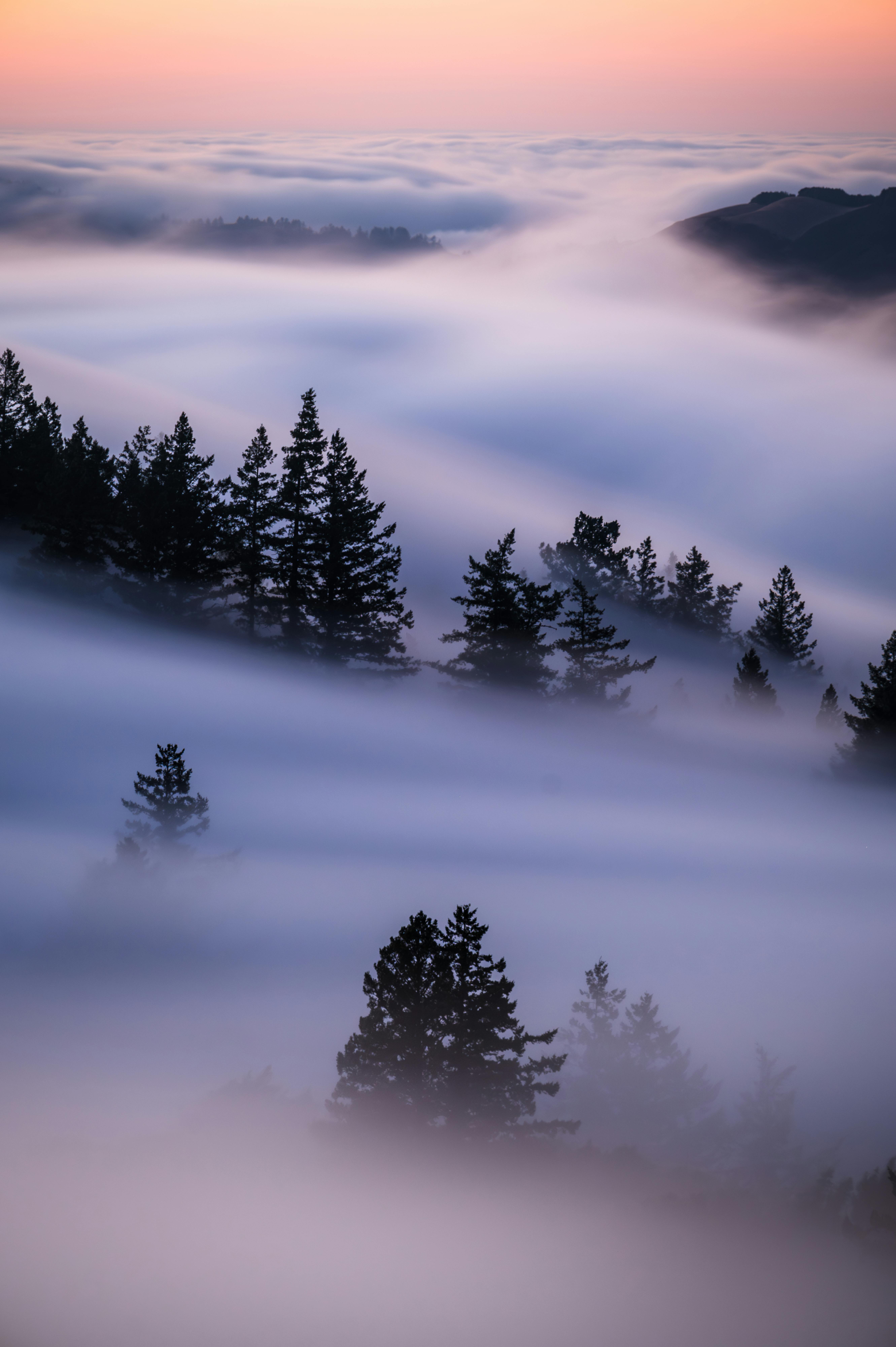5323x8000 Fog Photo, Download The BEST Free Fog & HD Image