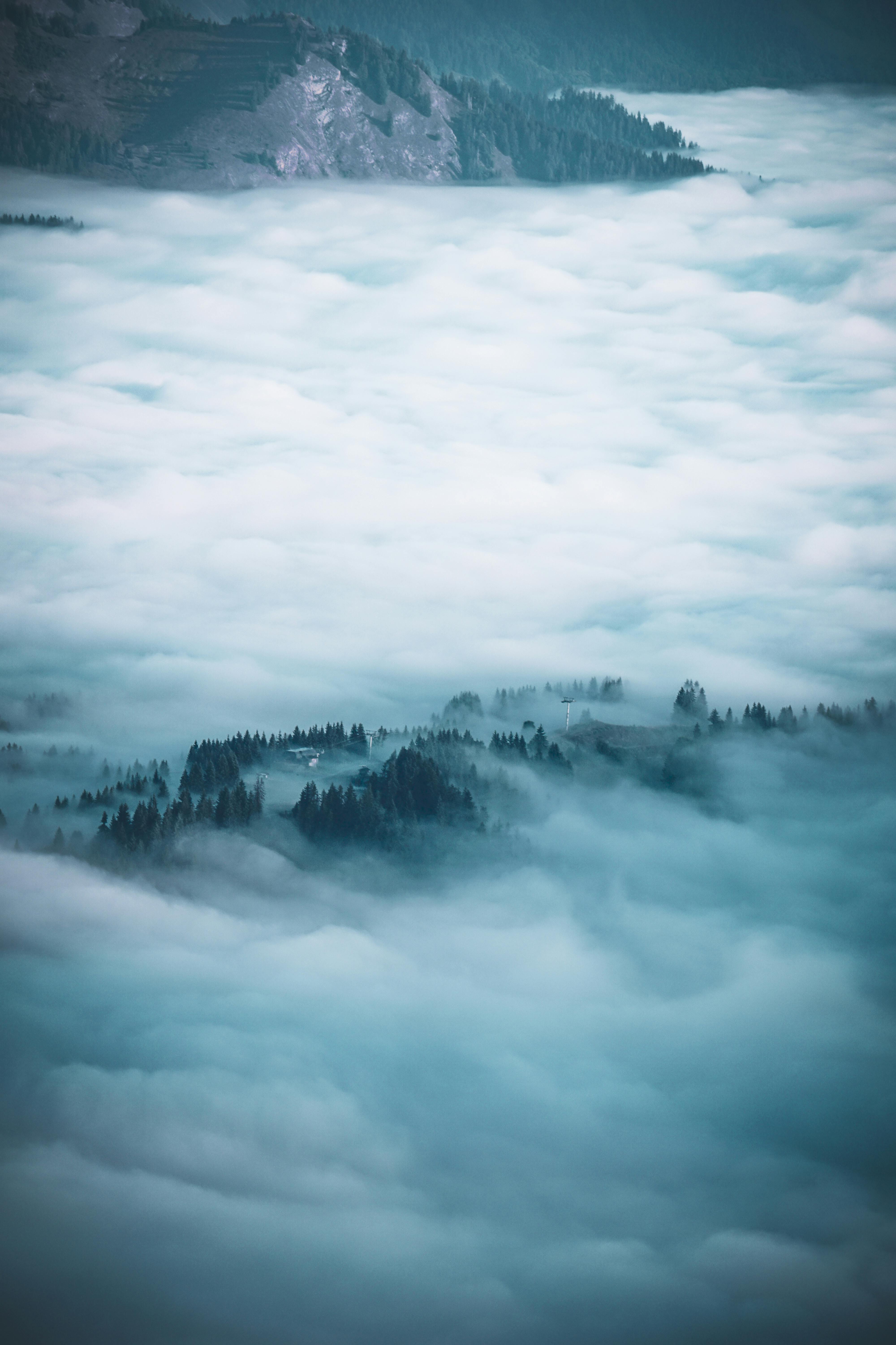 4000x6000 Fog Layer Photo, Download The BEST Free Fog Layer & HD Image