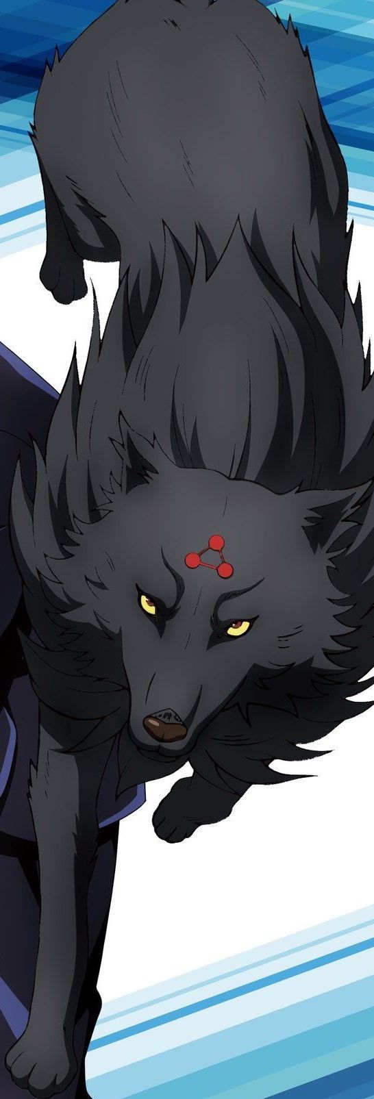 546x1605 Divine Dog: Black