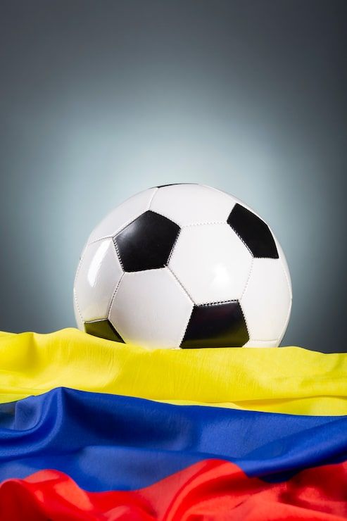 493x740 Fifa world cup 2026 Image