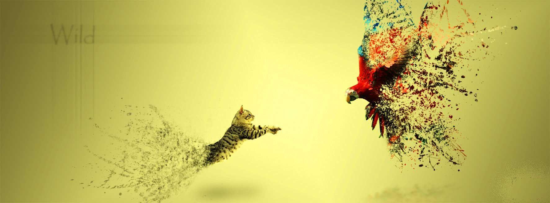 facebook cover photos artistic