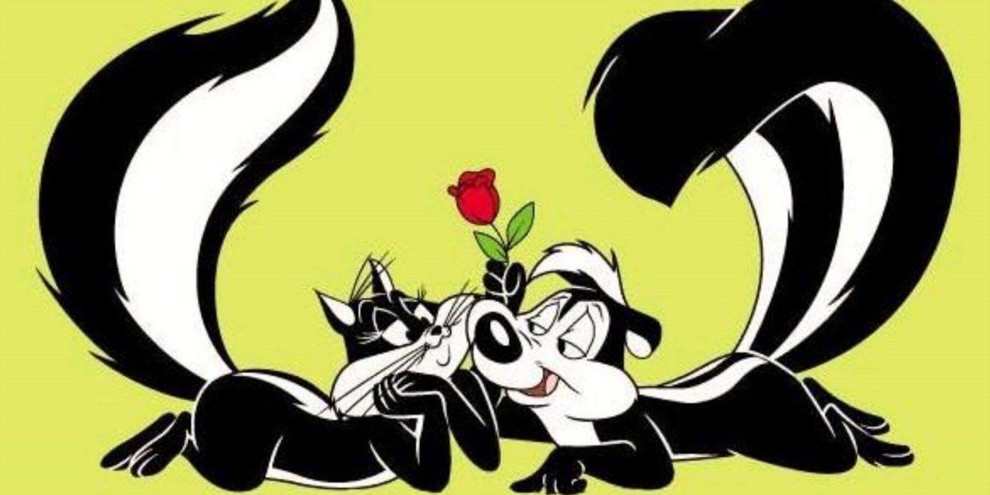 Pepé Le Pew Wallpapers Top Free Pepé Le Pew Backgrounds Wallpaperaccess