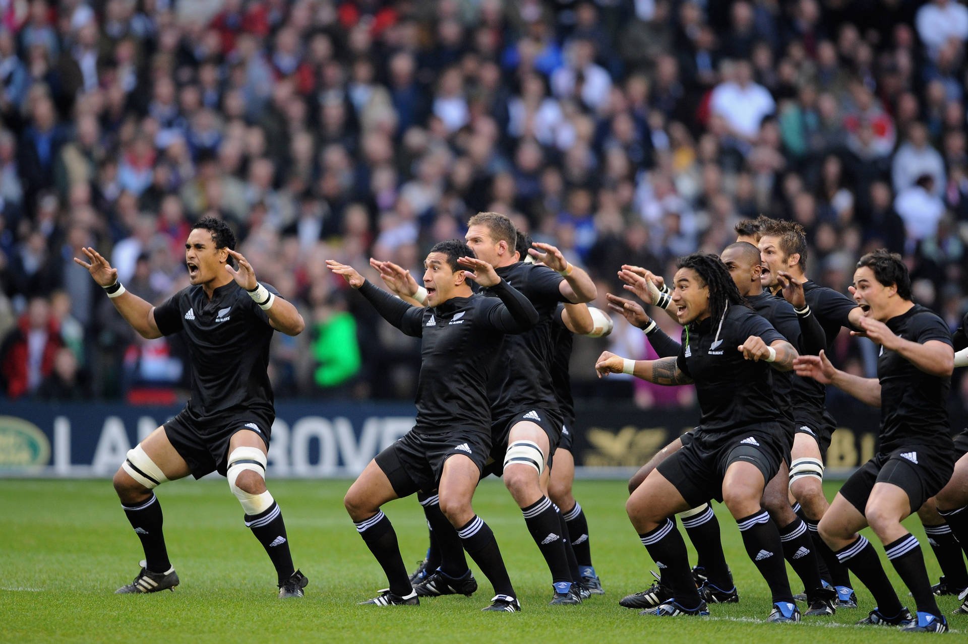 1920x1278 Download A Powerful Moment with the All Blacks NZ Rugby Team Wallpaper