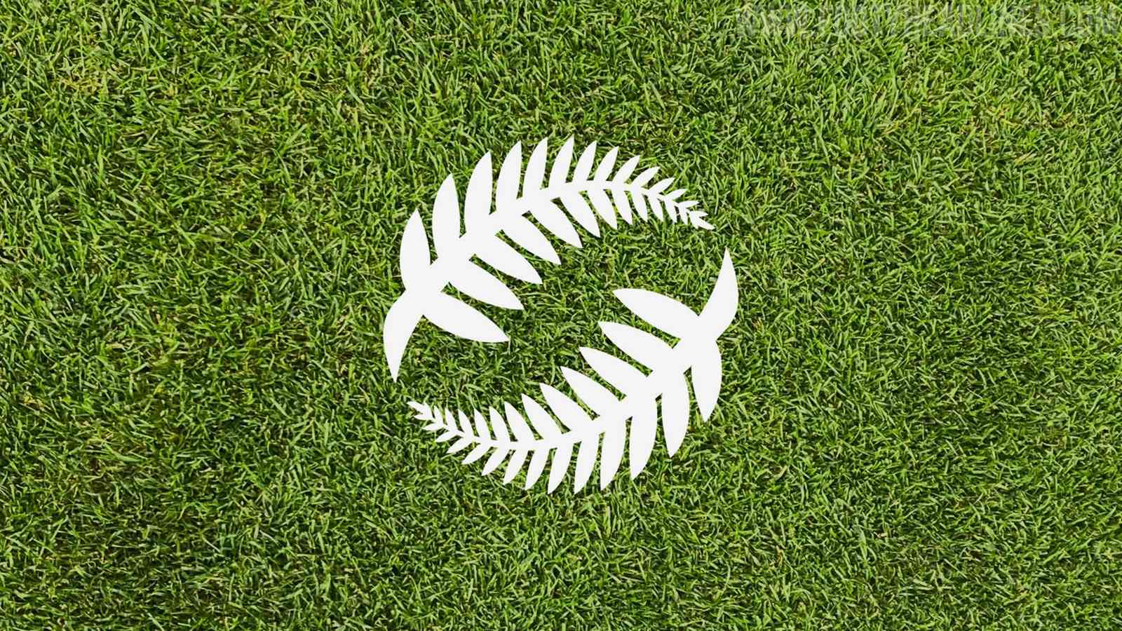 1600x900 New Zealand Football Association Unveils New Logo