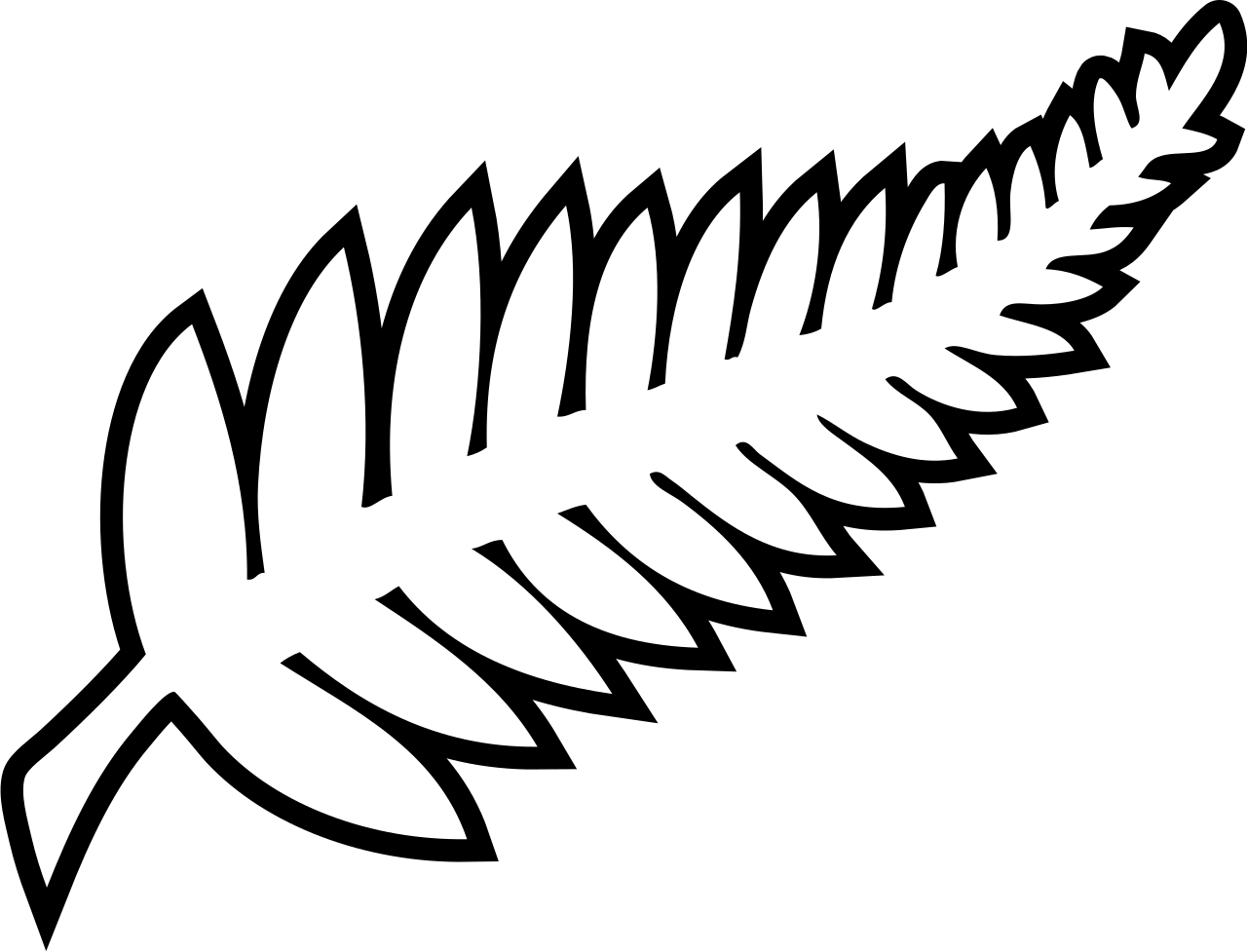 1280x977 New Zealand men's national football team