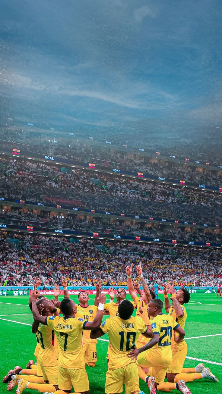 736x1308 Ecuador World cup 2022