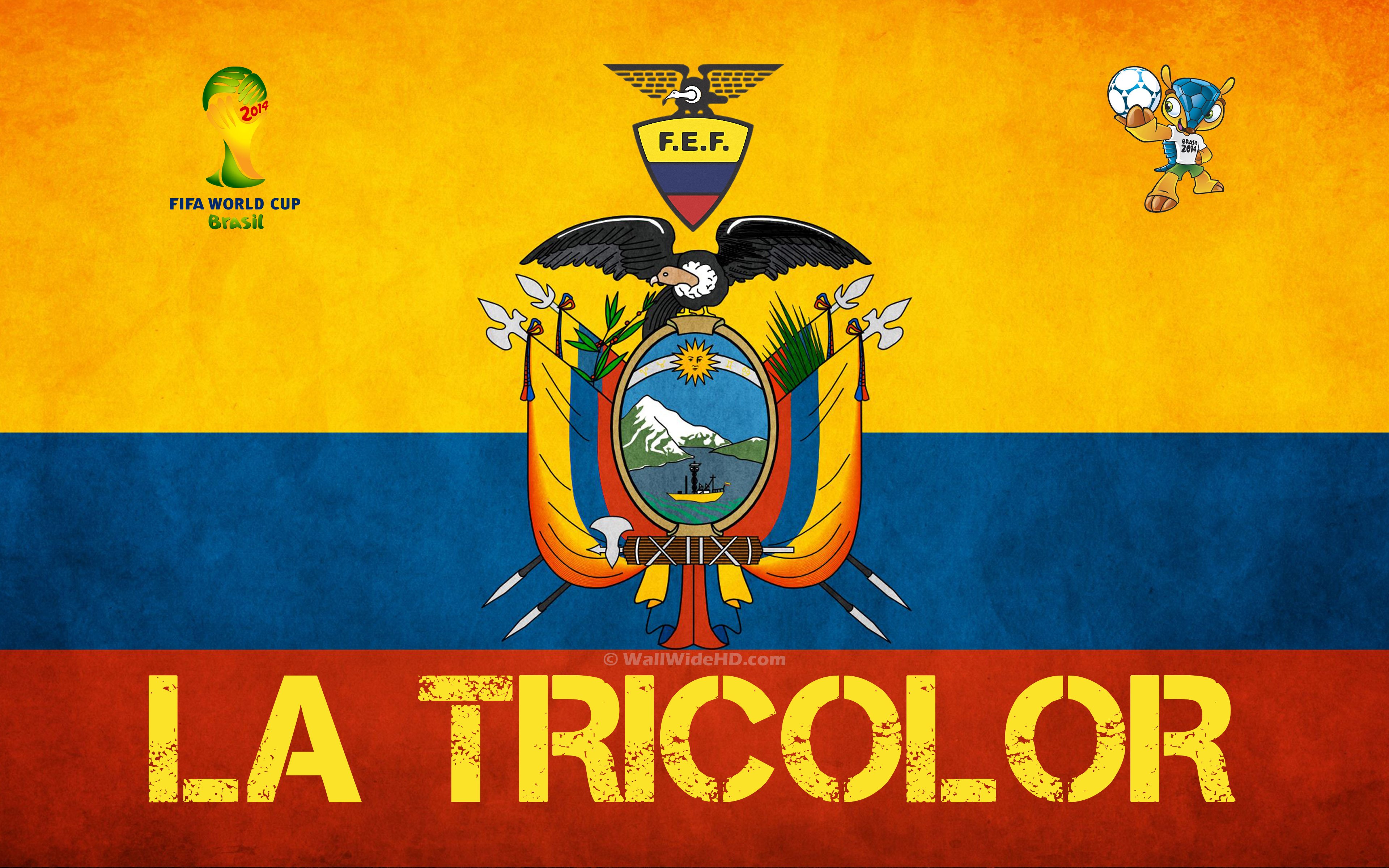 3840x2400 Group E Ecuador World Cup Definition, High Resolution HD Wallpaper : High Definition, High Resolution HD Wallpaper