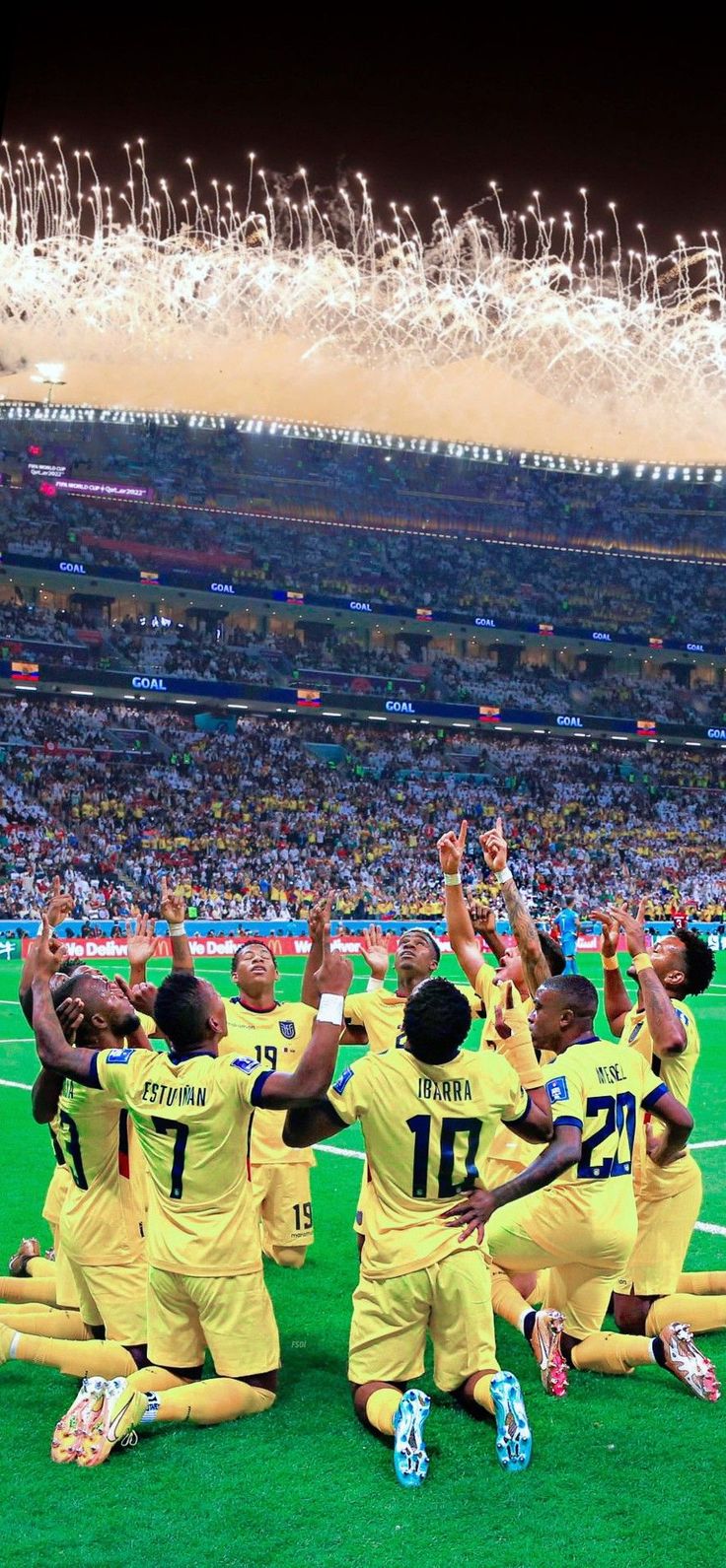 736x1591 Ecuador Football Team