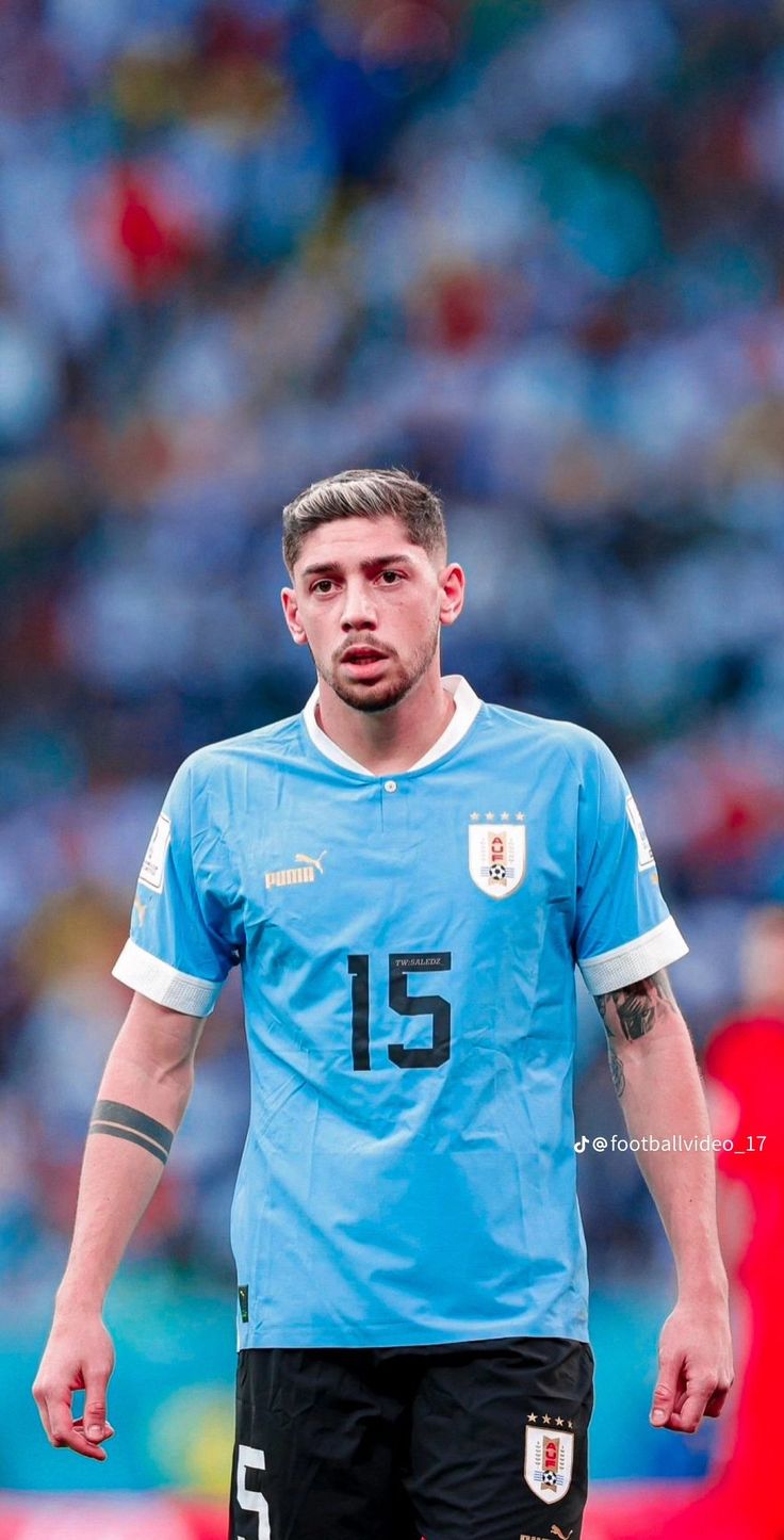 736x1445 Fede Valverde