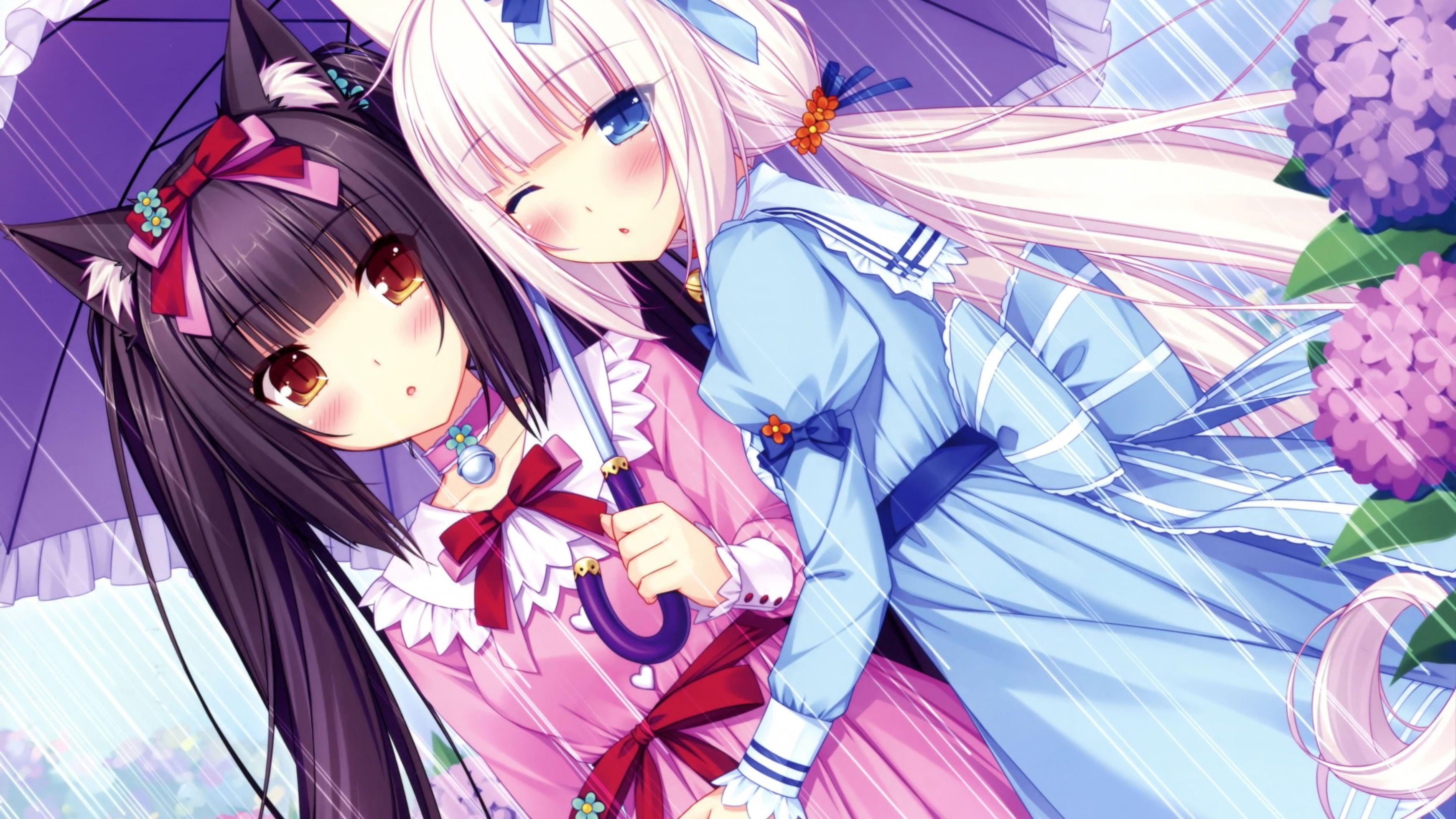 3484x1960 Chocola and vanilla from nekopara HD wallpaper