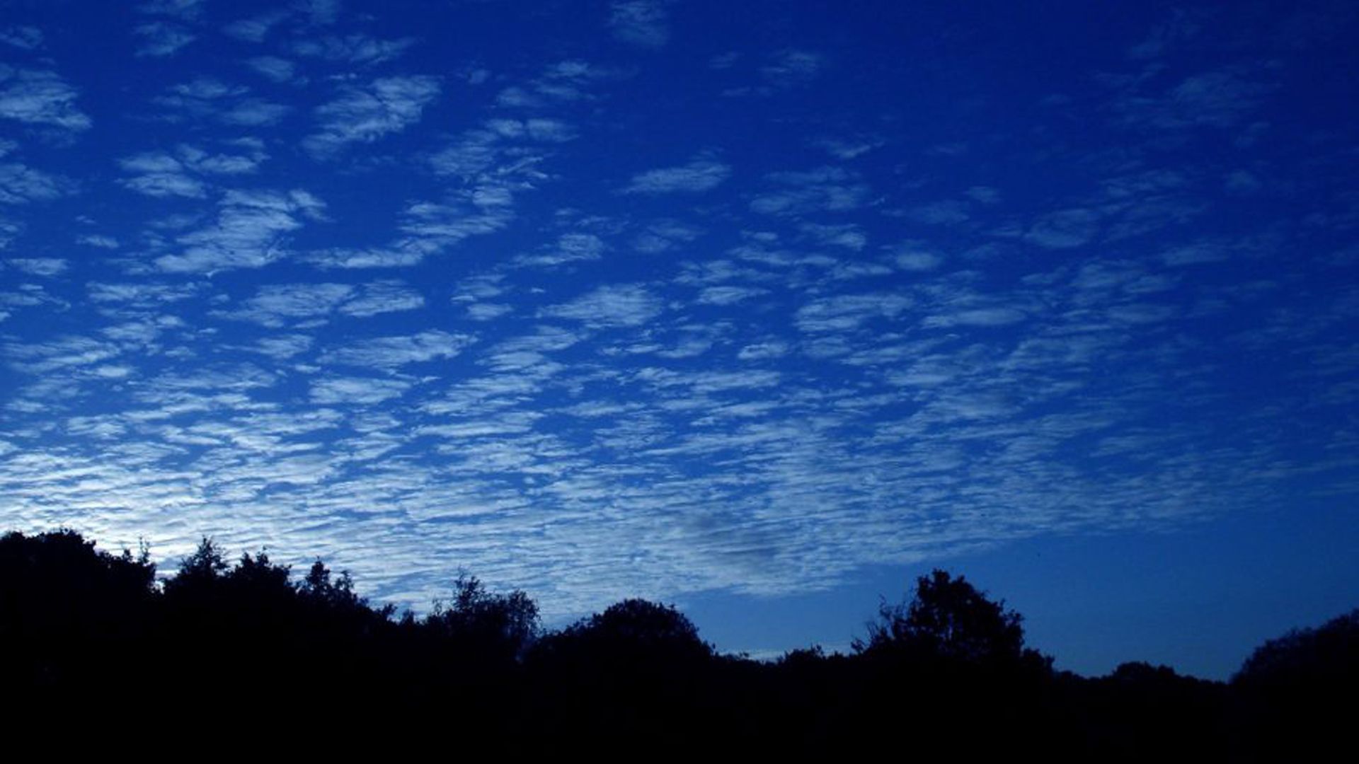 1920x1080 Trees Forest Blue Sky Aesthetic Background HD Blue Aesthetic Wallpaper