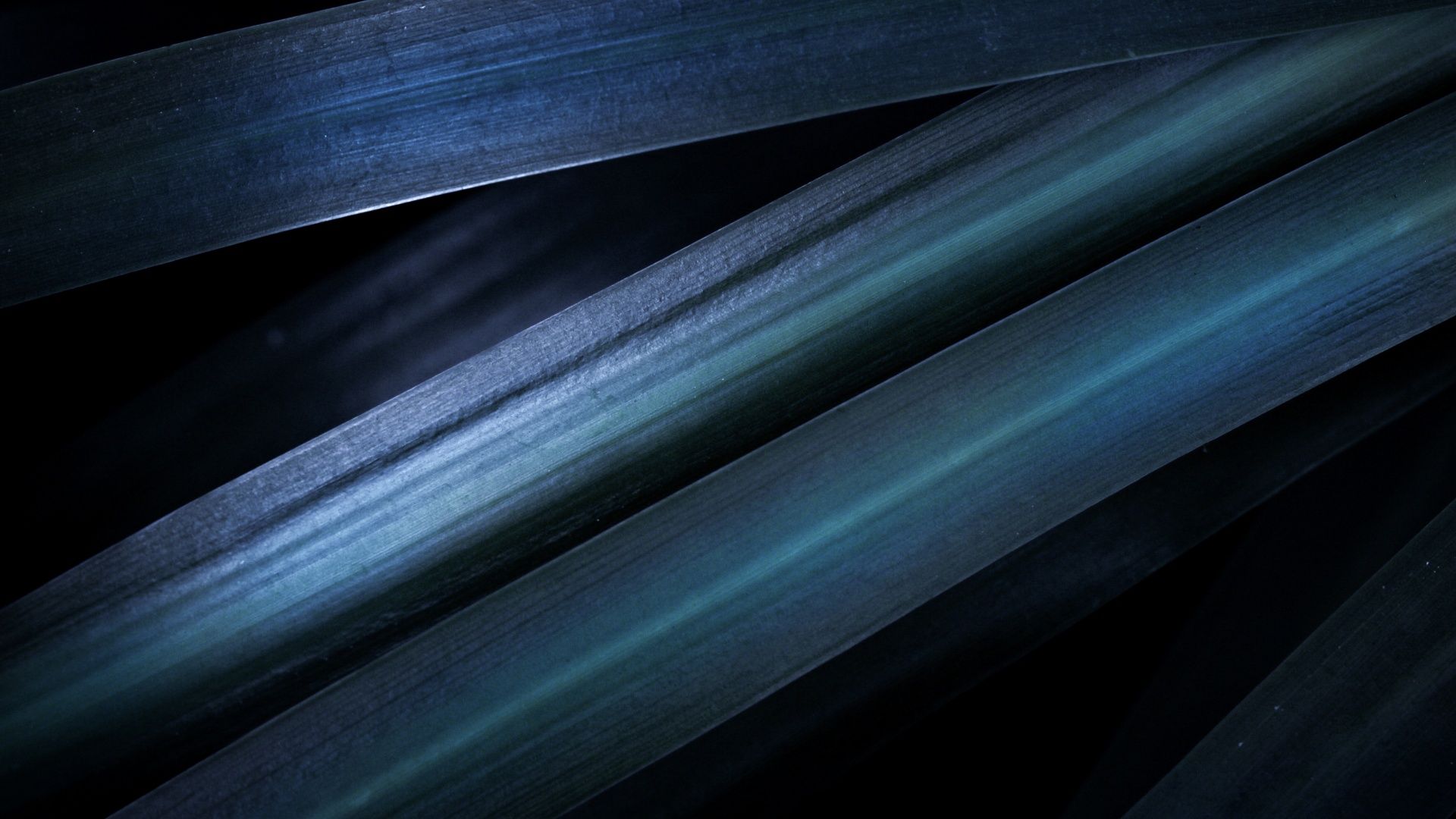 1920x1080 Blue aesthetic Wallpaper 4K, Leaves, Pattern, Macro