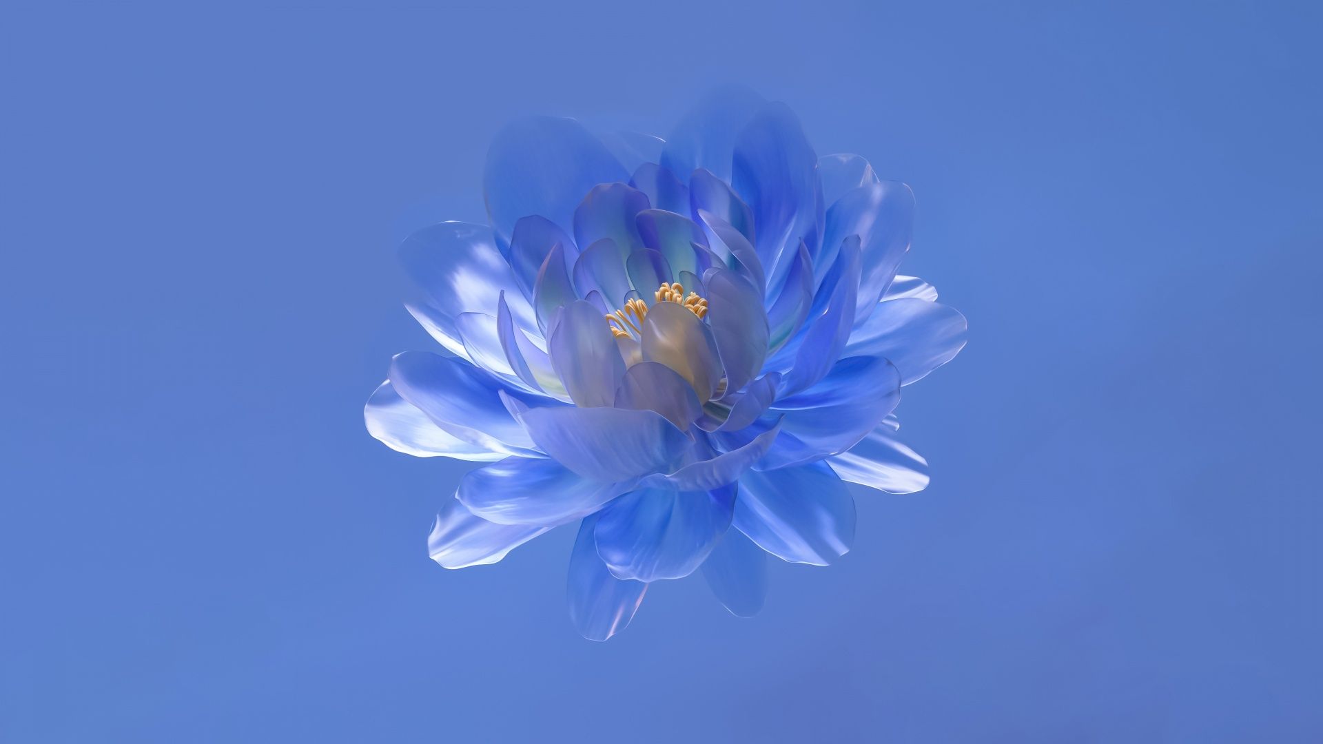 1920x1080 Abstract flower Wallpaper 4K, Blue aesthetic, Blue background