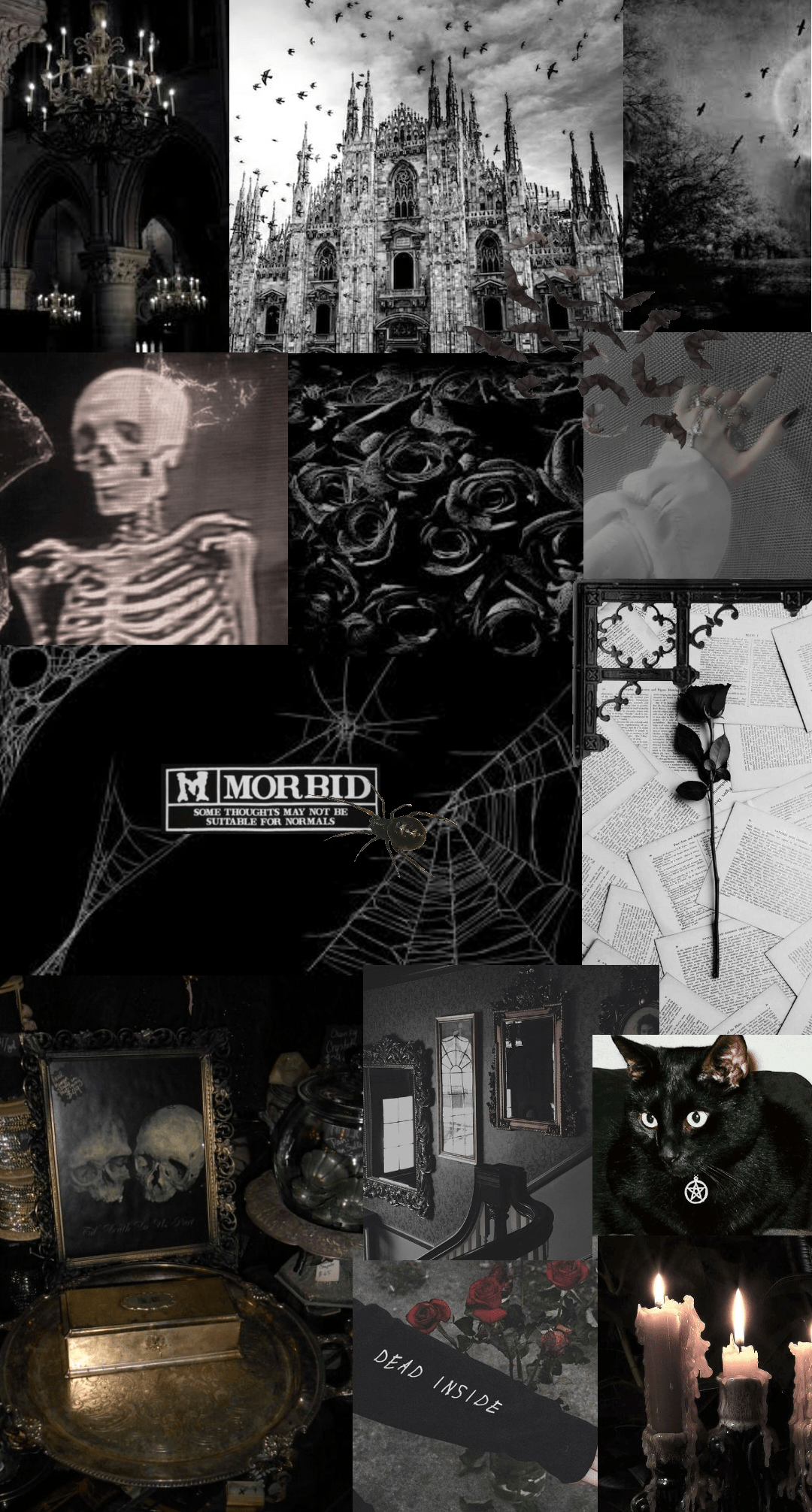 1080x2012 gothic collage Outfit