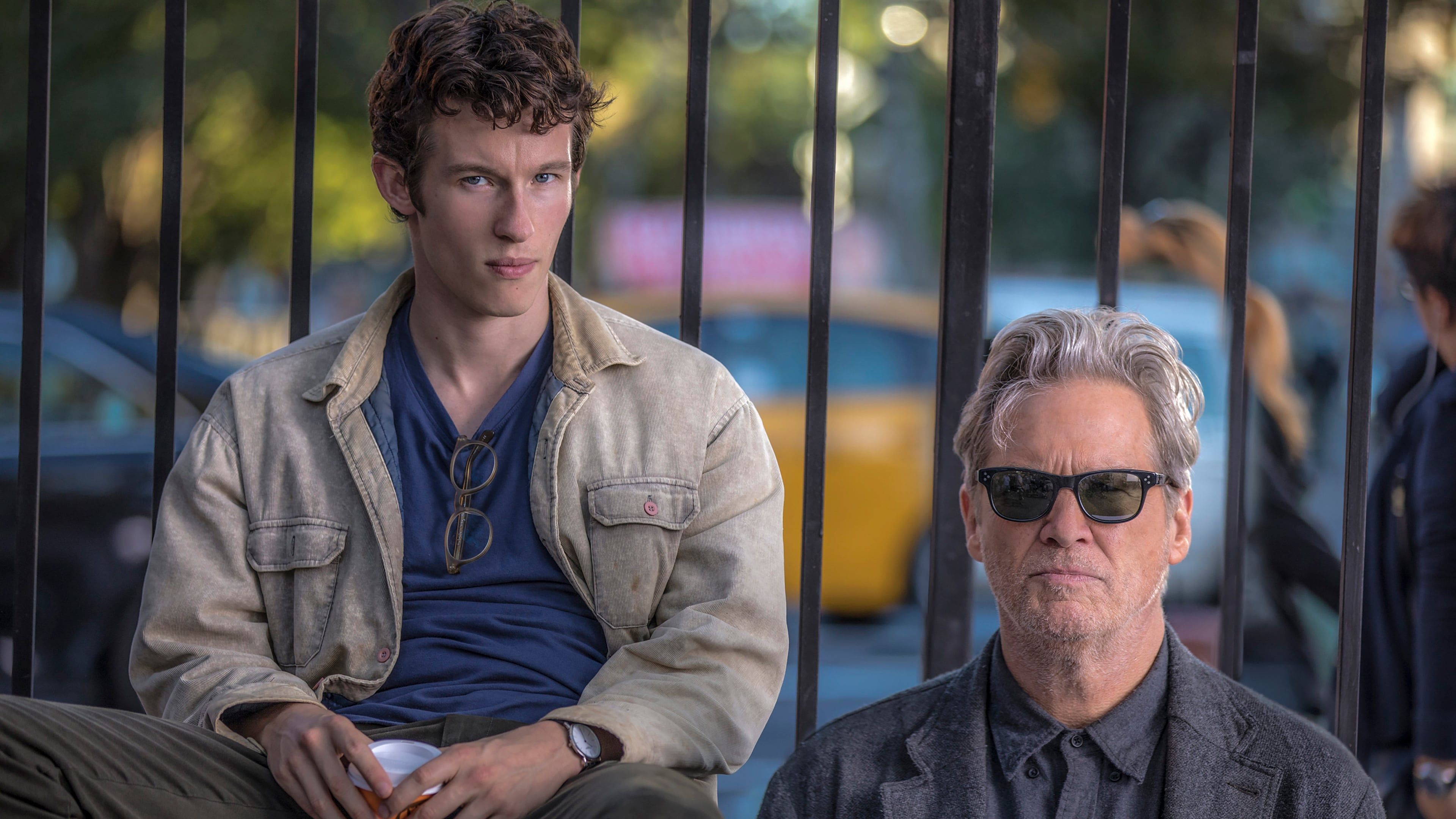 3840x2160 Callum Turner Wallpaper
