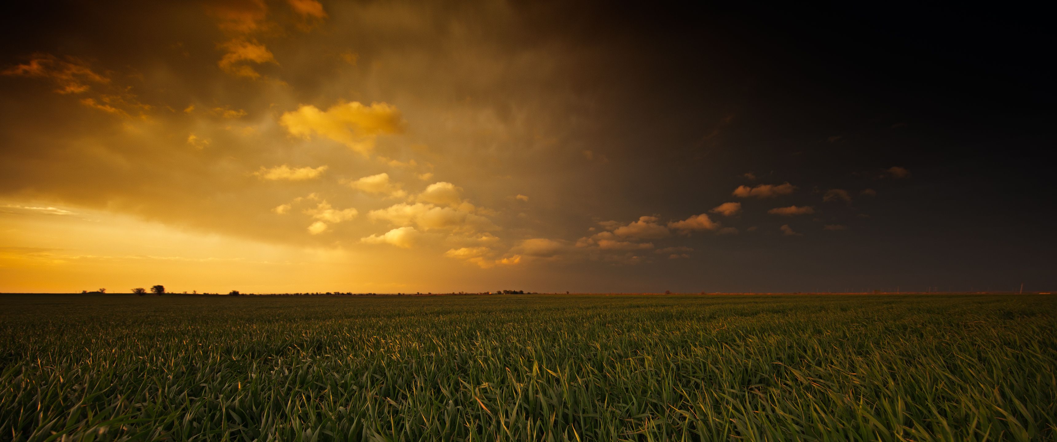 3440x1440 Wallpaper Green Grass Field During Sunset, Background Free Image