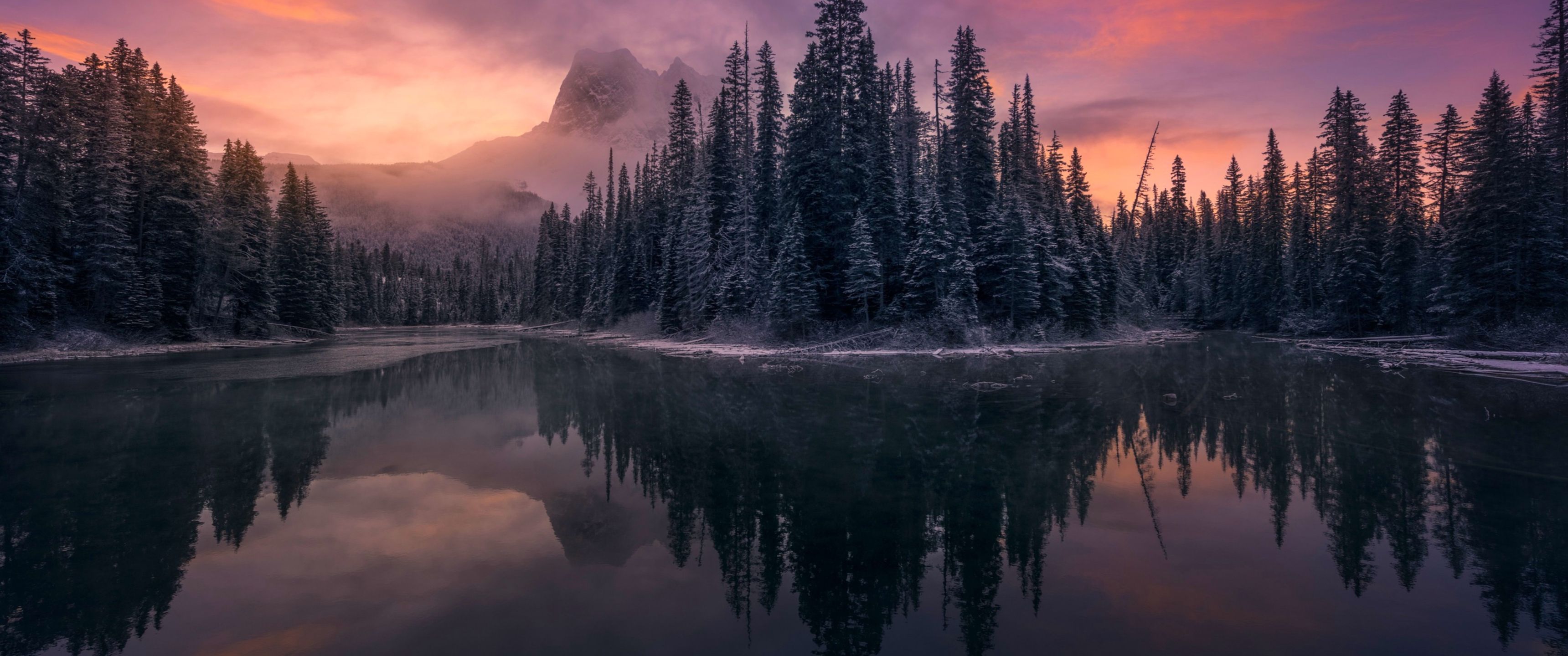 3440x1440 Download Nature, Evening, Sunset, Mountains, Lake, Christmas trees Wallpaper in 3440x1440 Resolution