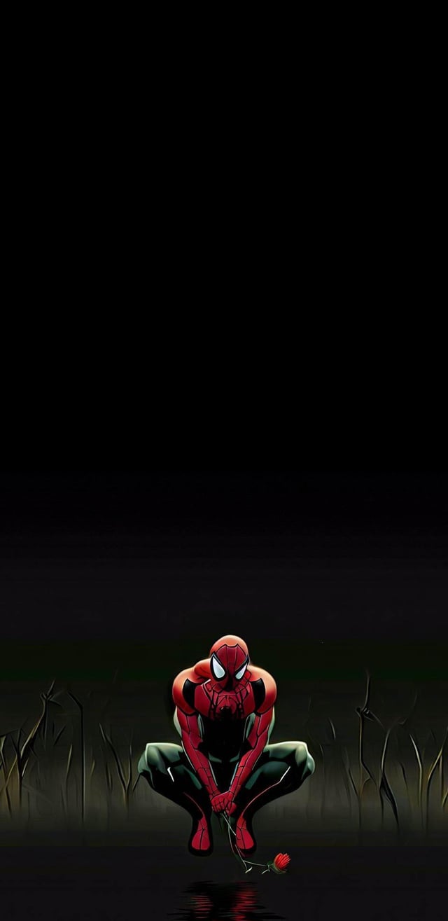 640x1315 Spiderman in Love [1440x2960]