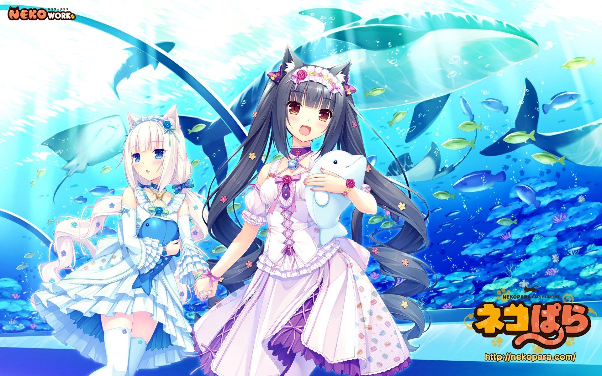 1920x1200 Nekopara Wallpaper HD